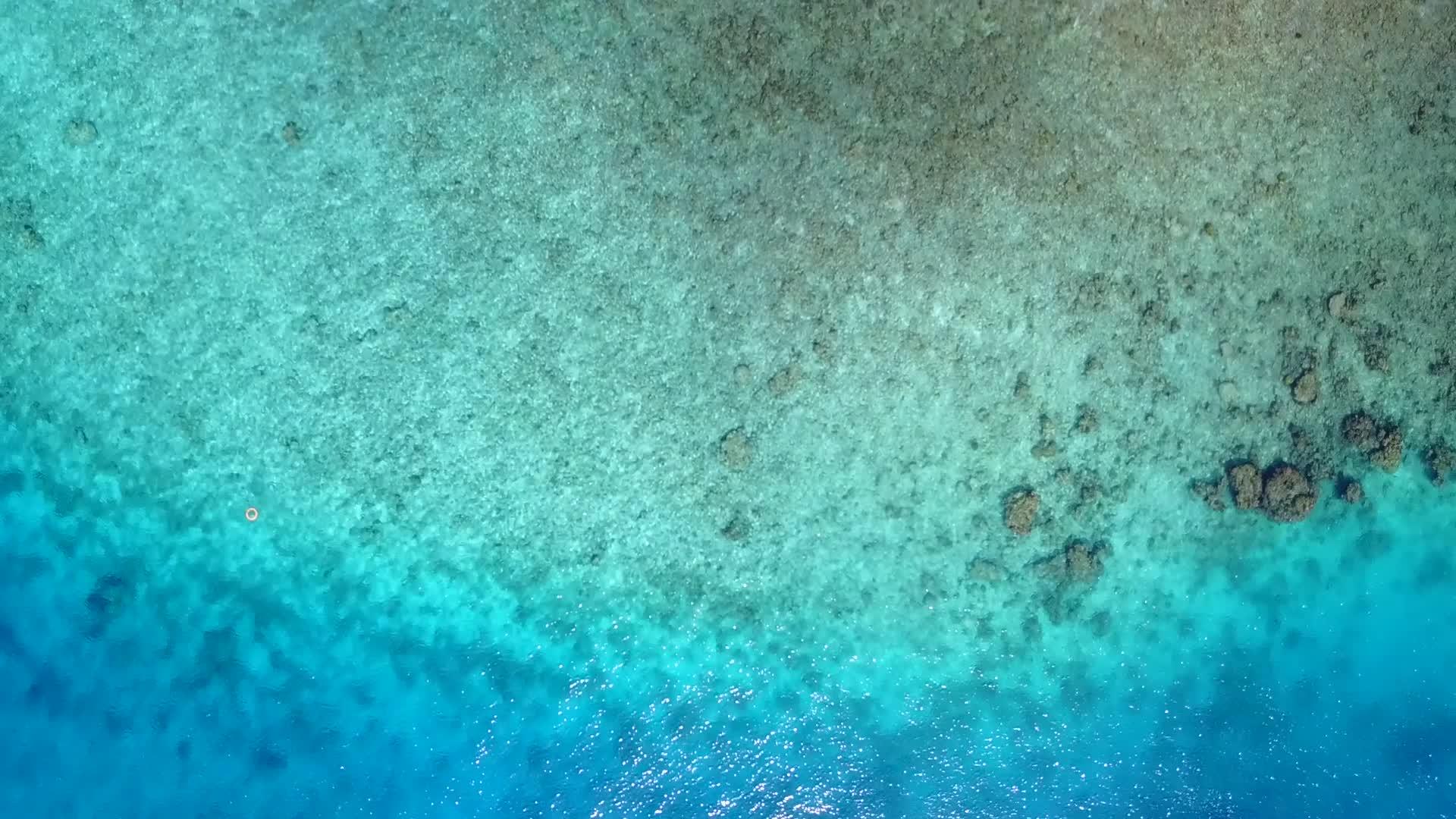 复制棕榈树附近白色海滩背景的蓝绿色海洋放松海岸海滩之旅视频的预览图