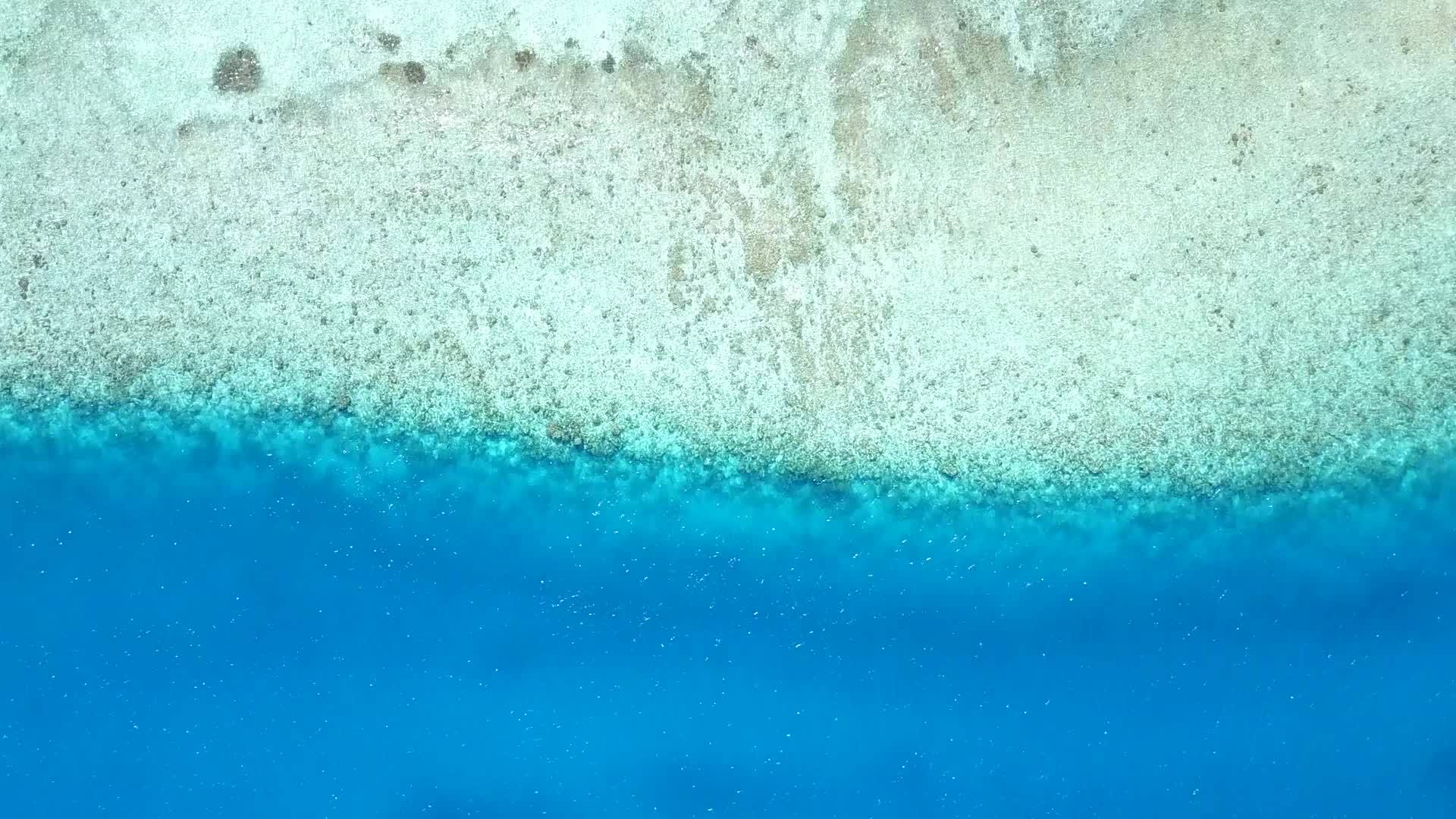 浅泻湖和白沙在阳光下的背景是异国情调的海岸线海滩生活方式视频的预览图