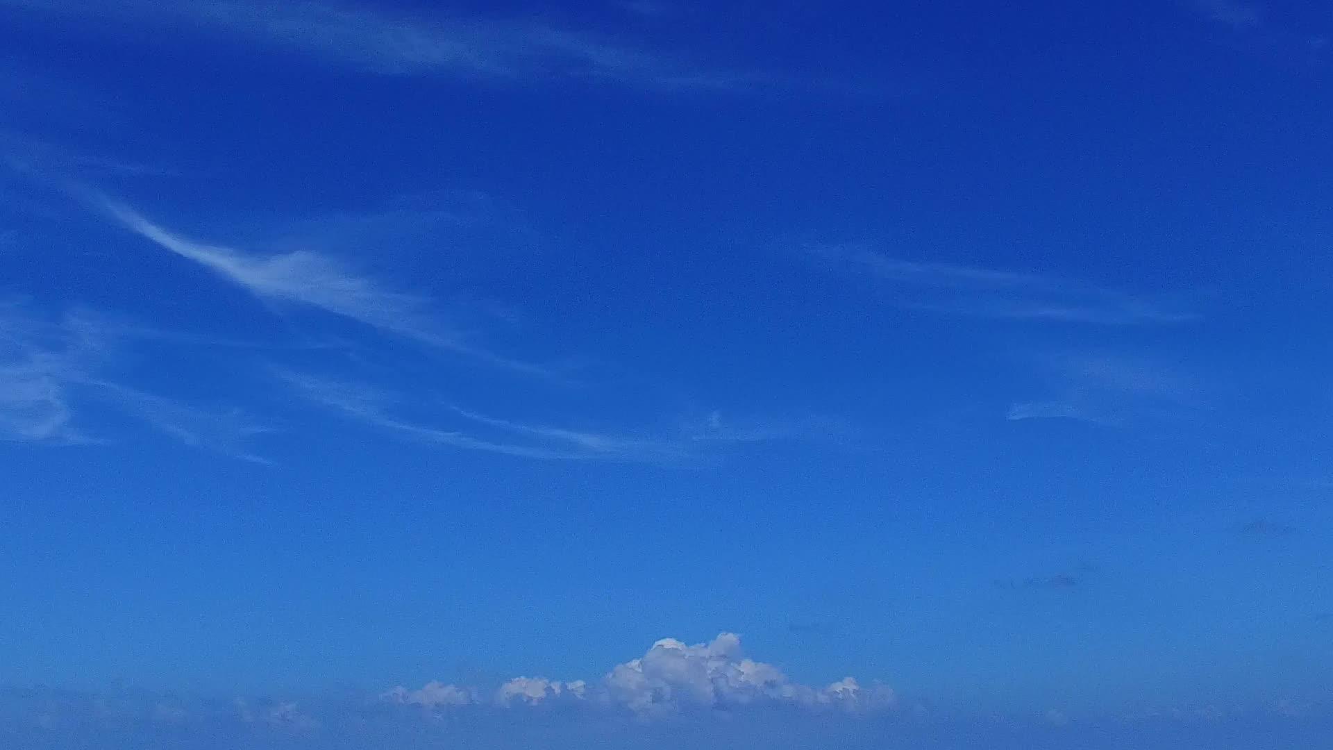 清海和白色沙滩的背景靠近林地视频的预览图