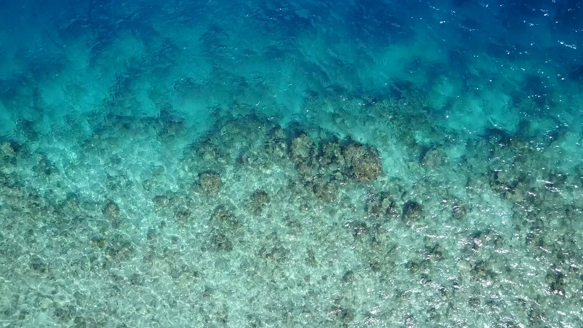 蓝海热带旅游海滩旅游阳光风光度假村附近的白沙背景视频的预览图