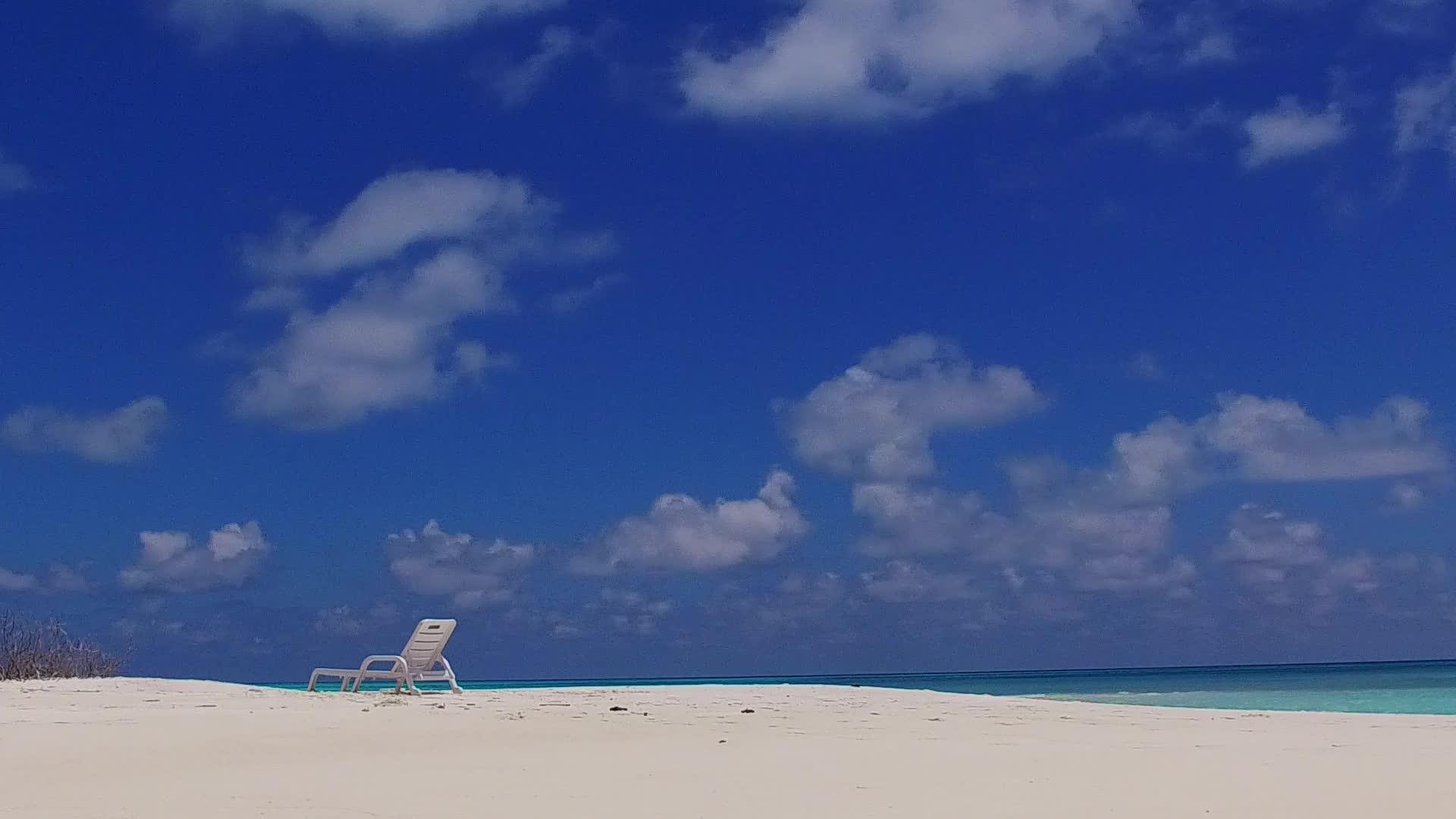 完美的海滩野生动物在蓝海和日出后的白色的白色海滩背景紧紧地放在天空视频的预览图