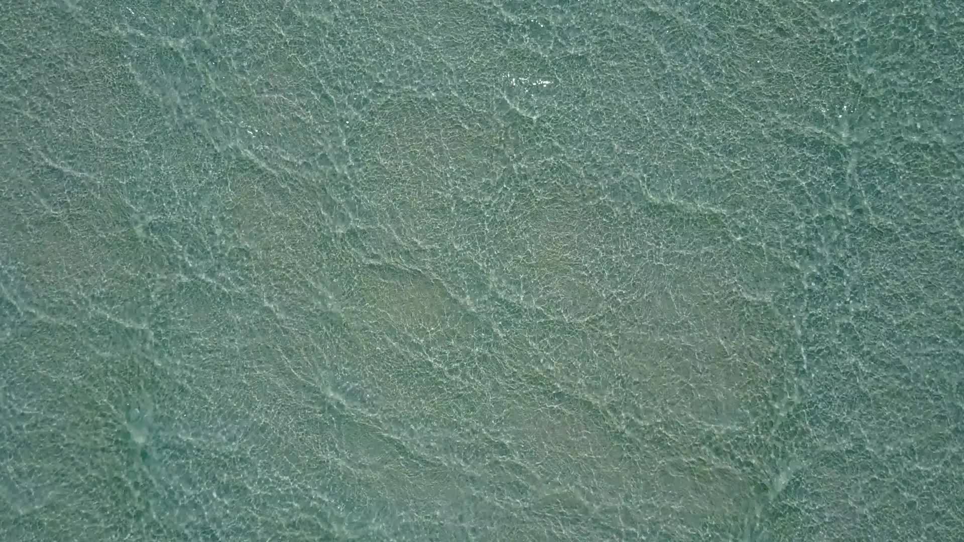 阳光下的白沙背景是透明海洋的热带海滨海滩度假视频的预览图