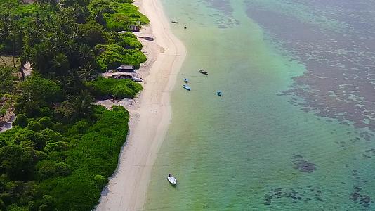 美丽的海岸海滩野生生物靠近沙巴绿色的海洋和白色的海滩视频的预览图