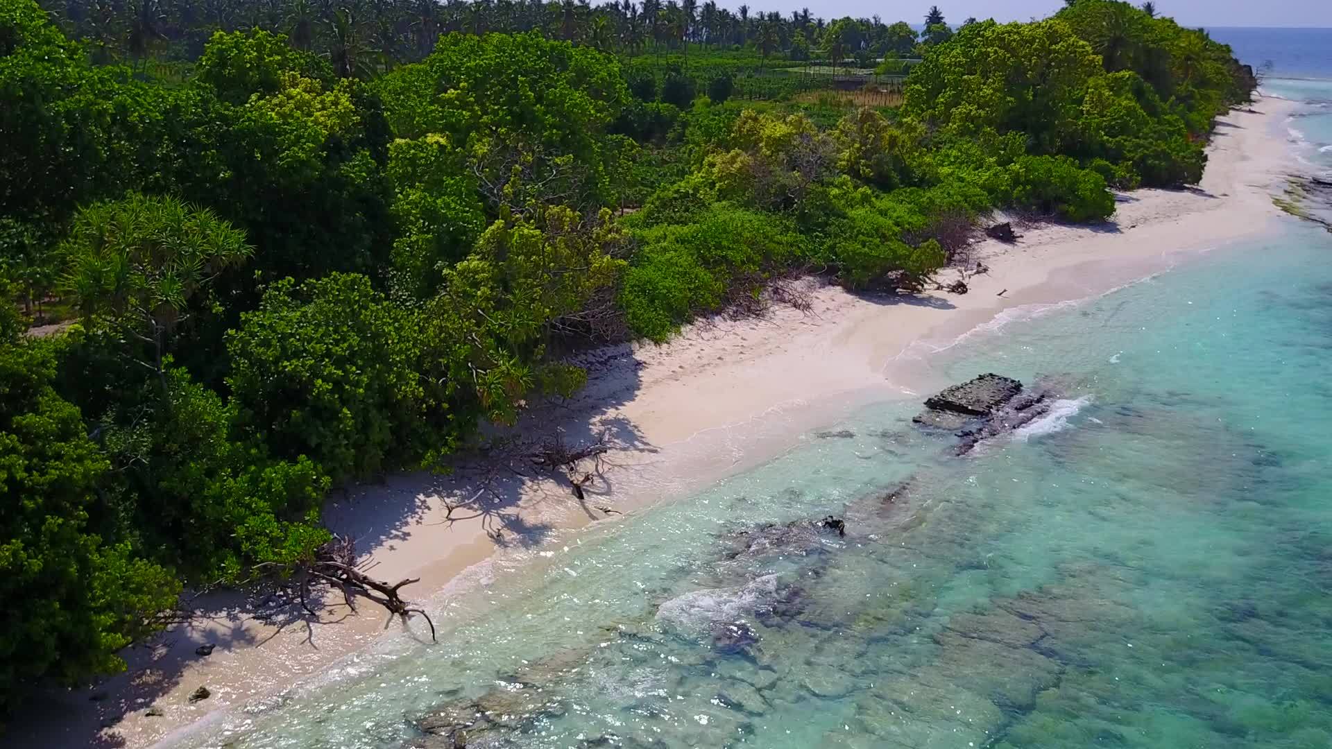 完美的海岸海滩之旅由蓝色环礁湖进行视频的预览图