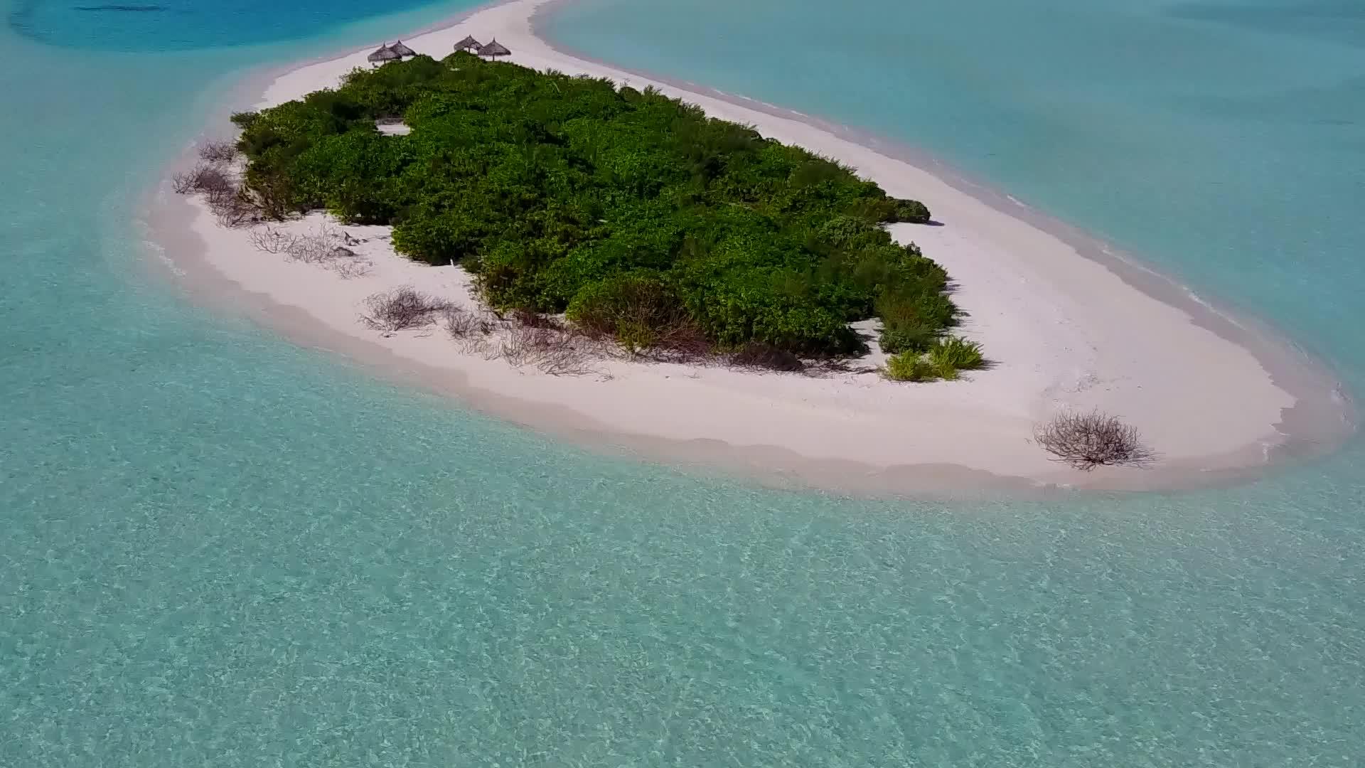 以海浪附近的松绿水和白色海滩为背景在豪华海滩上旅行视频的预览图