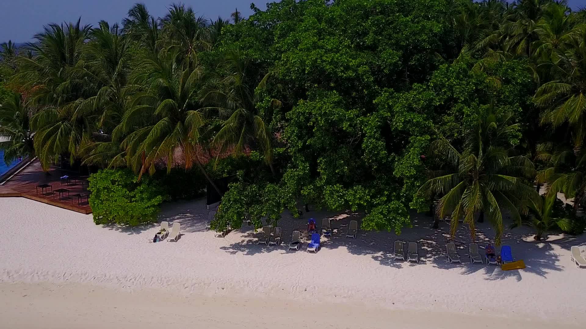天堂岛海滩节蓝色的绿色海洋和棕榈树附近清洁沙地的背景视频的预览图
