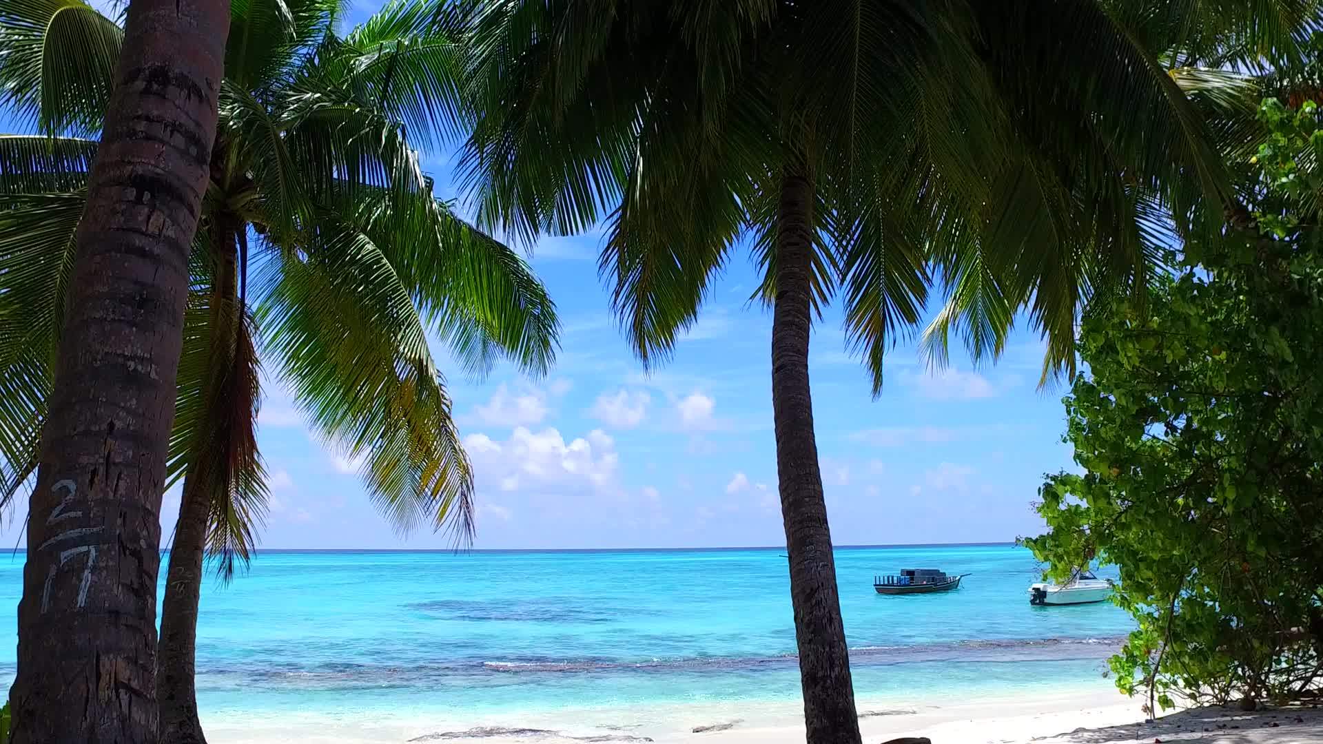 以蓝海为例在蓝海中热带海岸海滩海滩上珊瑚礁附近有浅沙背景视频的预览图