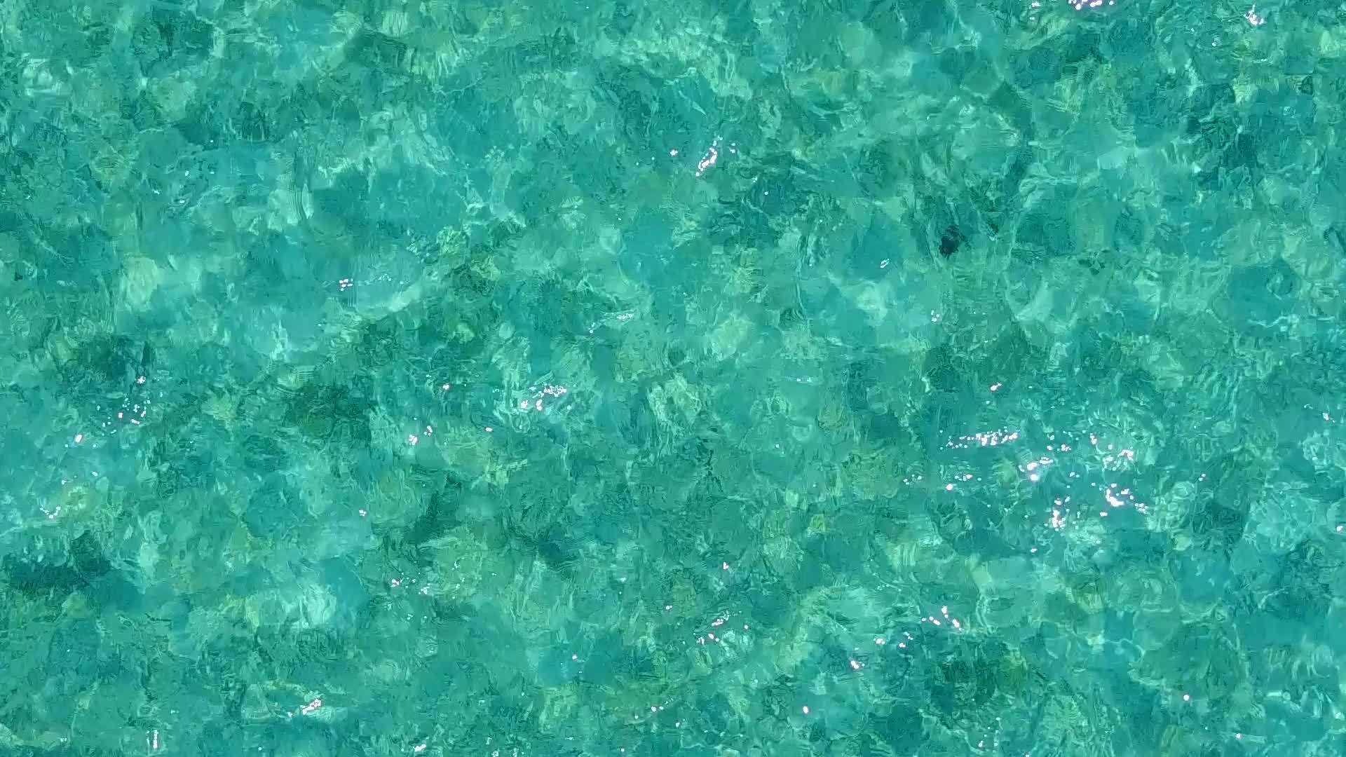 在棕榈树附近有白色沙子背景的水蓝色环礁湖上放松海岸线视频的预览图