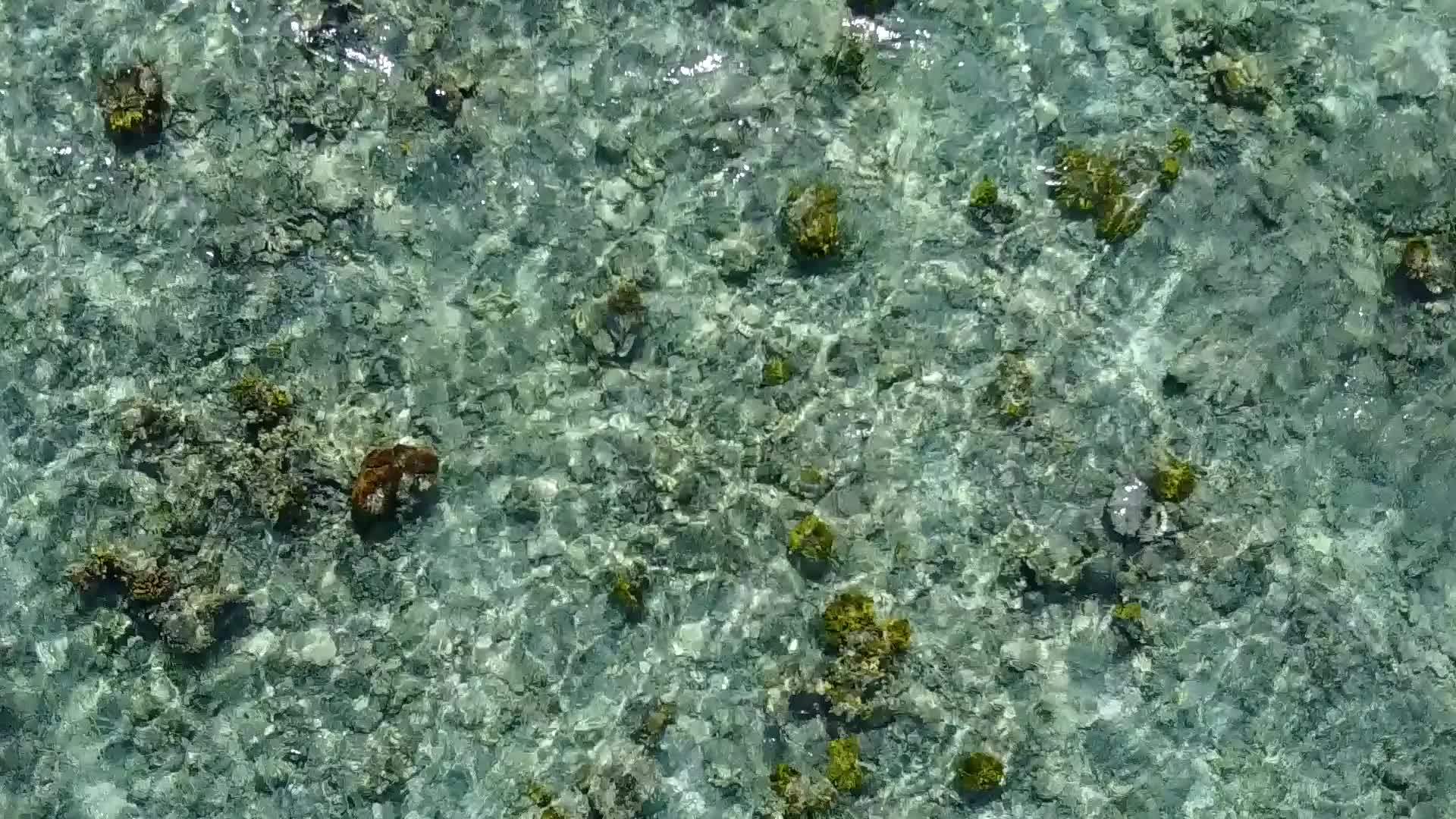 美丽的度假胜地海滩生活方式靠近白沙浅水的棕榈视频的预览图