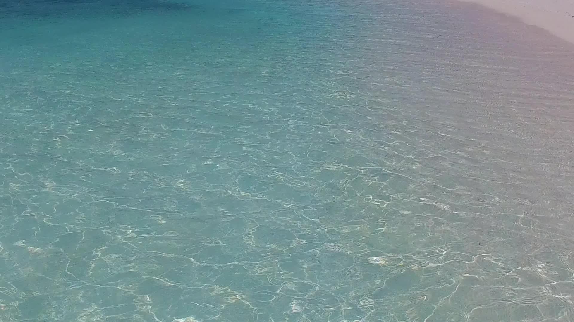蓝色水礁湖在棕榈树附近以清洁的沙土为背景沿海旅游平静视频的预览图