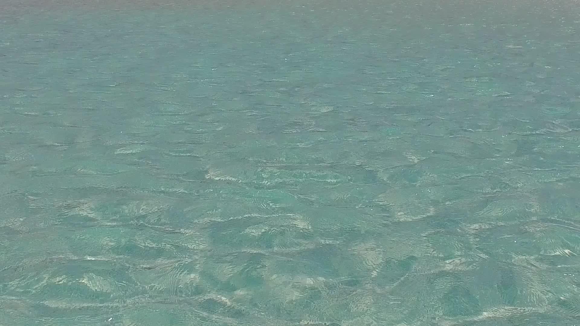 以蓝海为例在蓝色的海洋中享受宁静的海岸珊瑚礁附近有浅沙背景视频的预览图