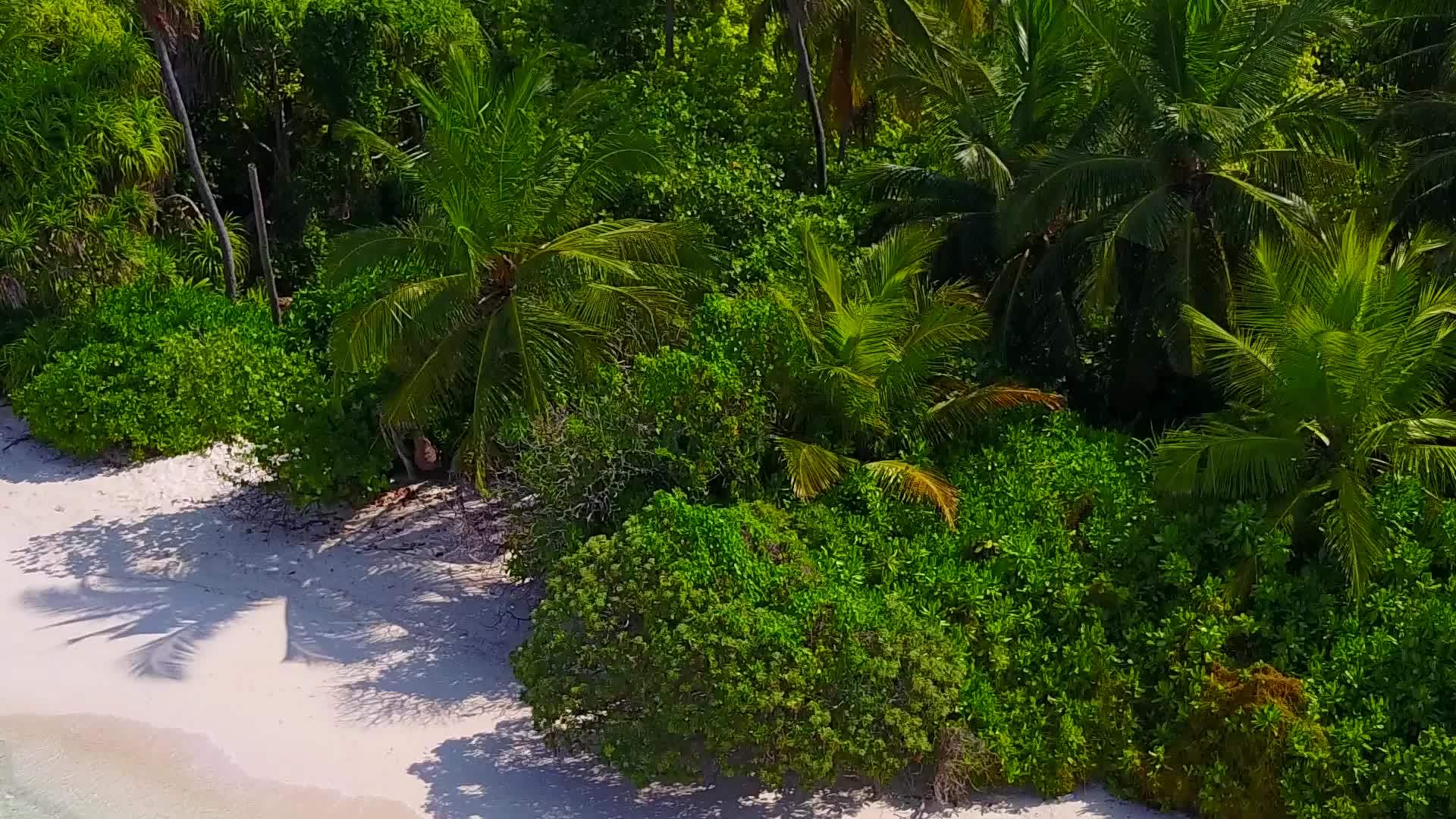 利用沙巴附近清晰的环礁湖有白色的沙滩背景完美的海湾视频的预览图