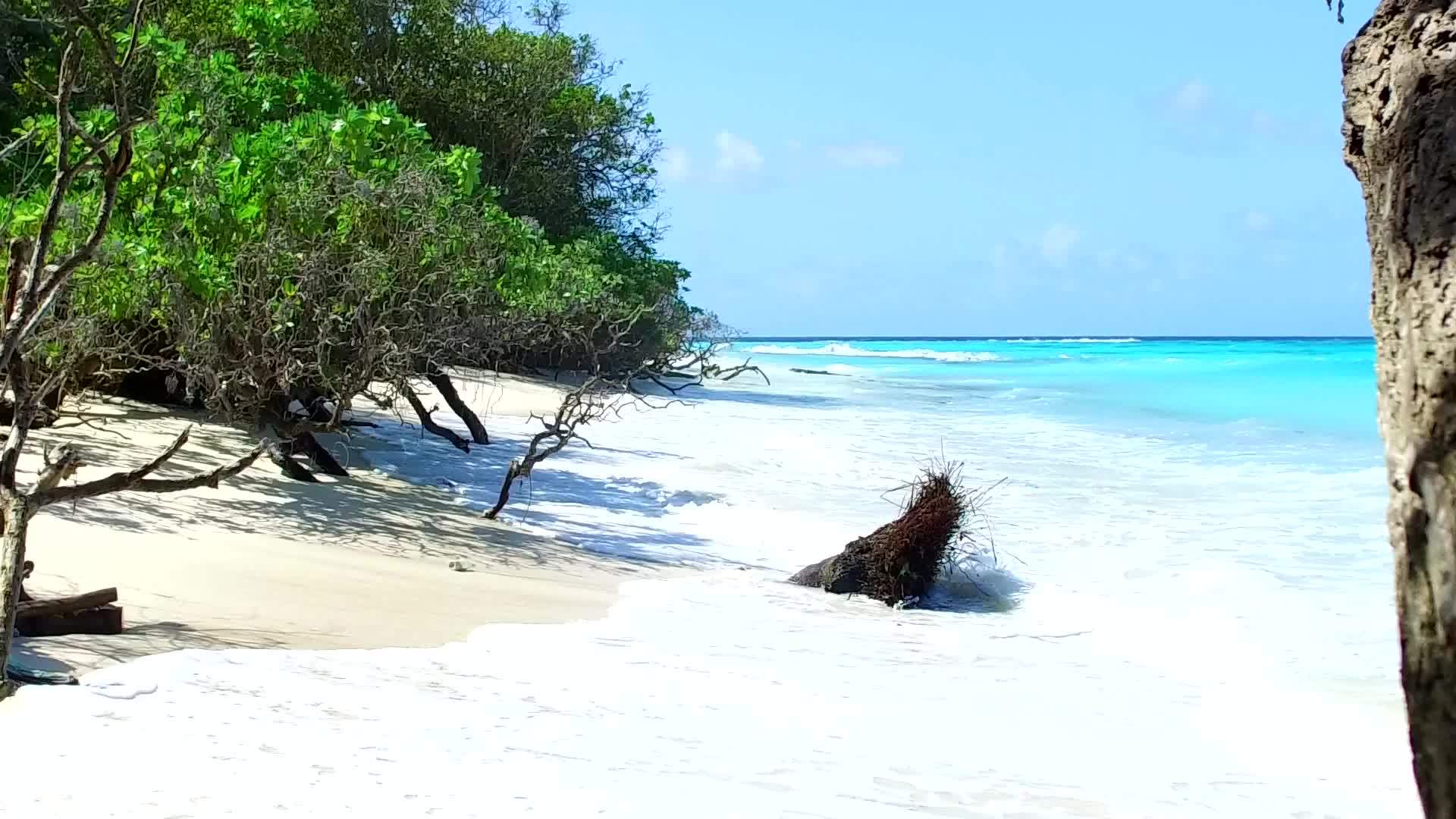 蓝色海滩生活方式的夏季风景珊瑚礁附近有白色的沙子视频的预览图