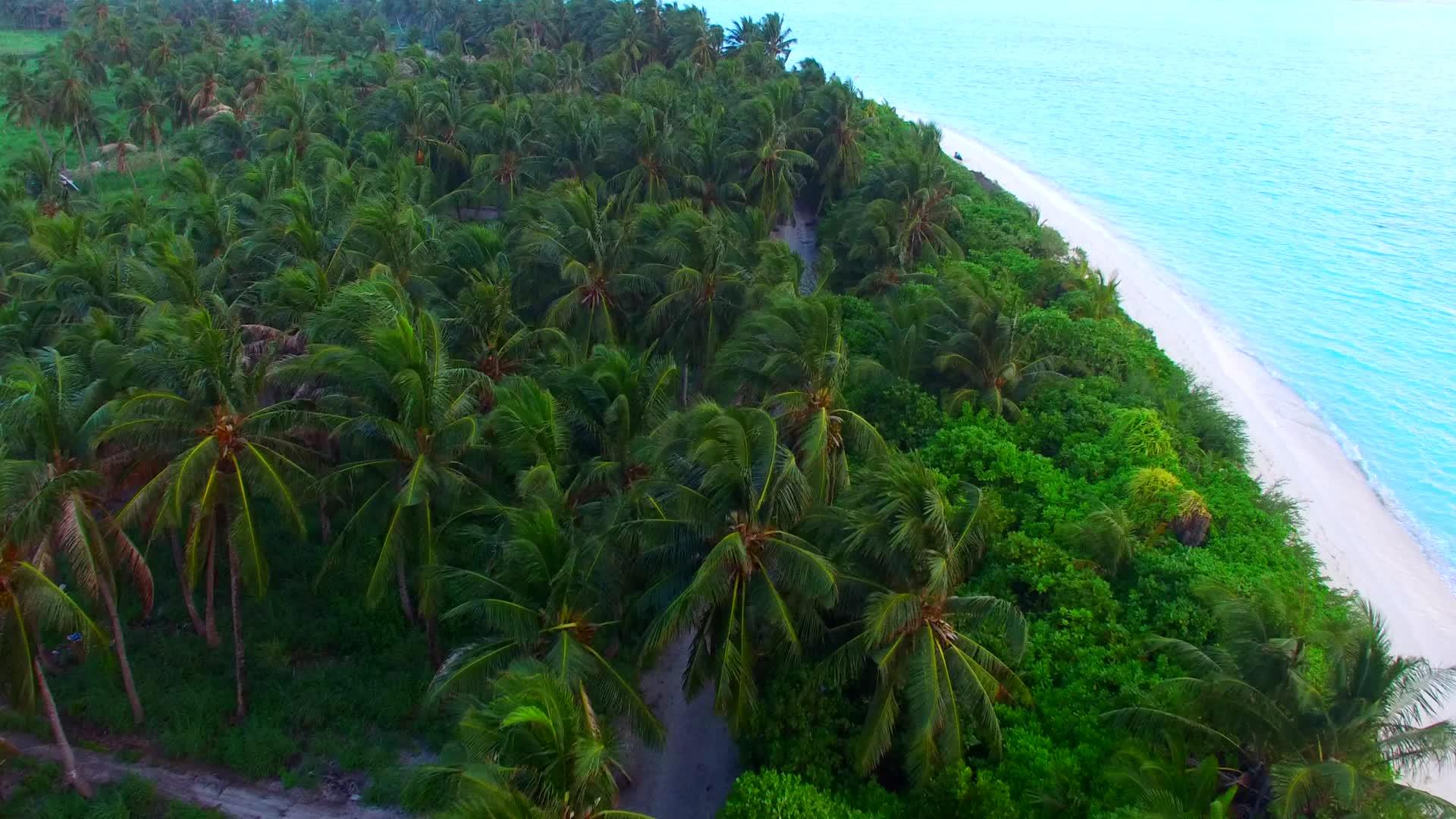 海平面蓝色海岸棕榈树附近有一个白色的海滩背景有一个长宽角视频的预览图