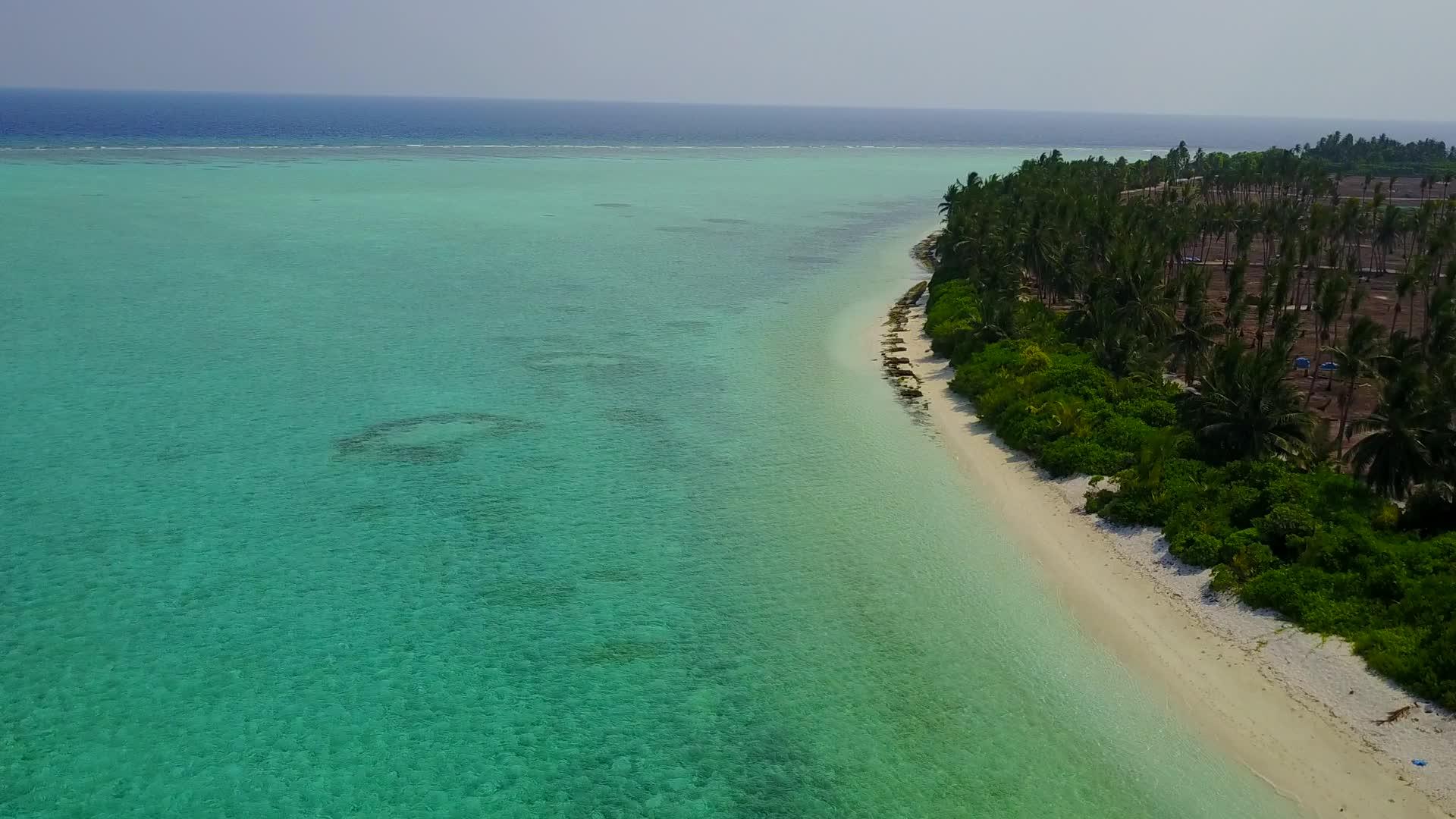 游客在蓝海和棕榈树附近的白沙背景下游览海滩航次视频的预览图
