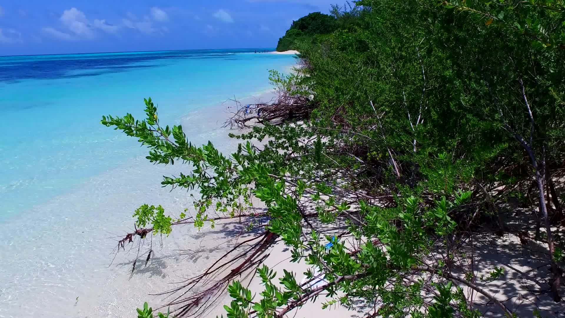 豪华的海滩海滩海滩以棕榈树附近的白色沙滩为背景以水蓝色环礁湖为生视频的预览图