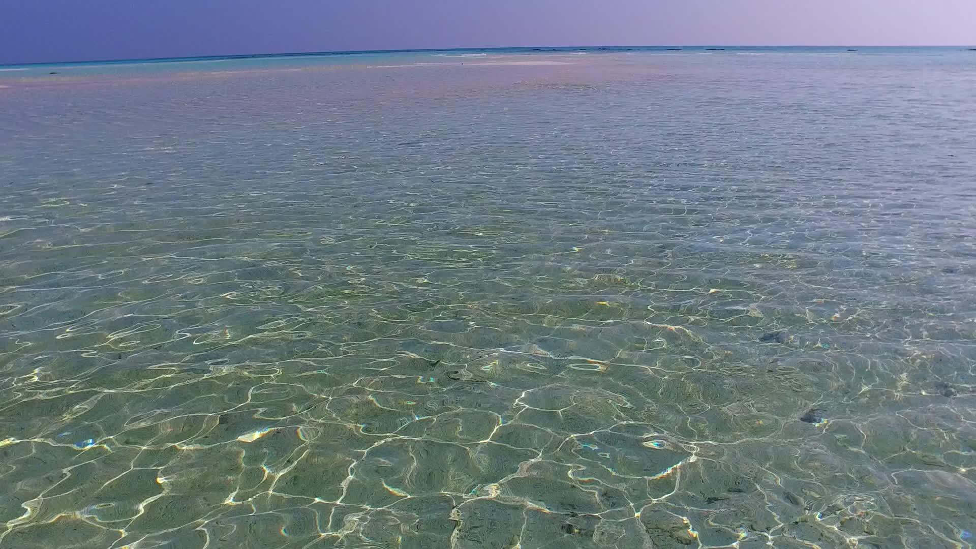 沙洲附近有一个白色的海滩背景蓝色的泻湖放松岛海滩野生动物视频的预览图