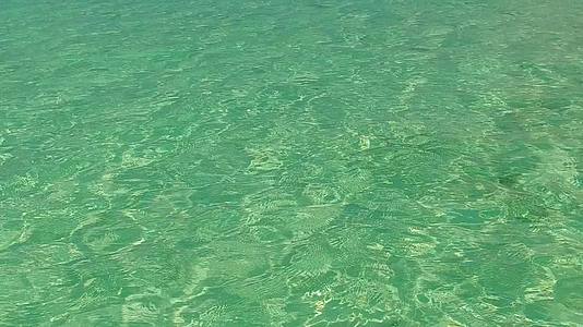 蓝色的海洋和棕榈树附近的白色海滩打破了海滩的热带海景视频的预览图