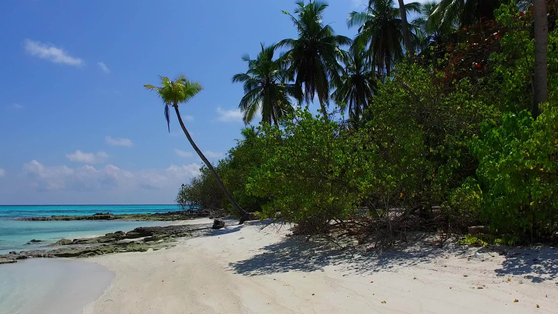 完美的海湾海滩树附近的白沙背景下进行完美的海湾海滩旅行视频的预览图