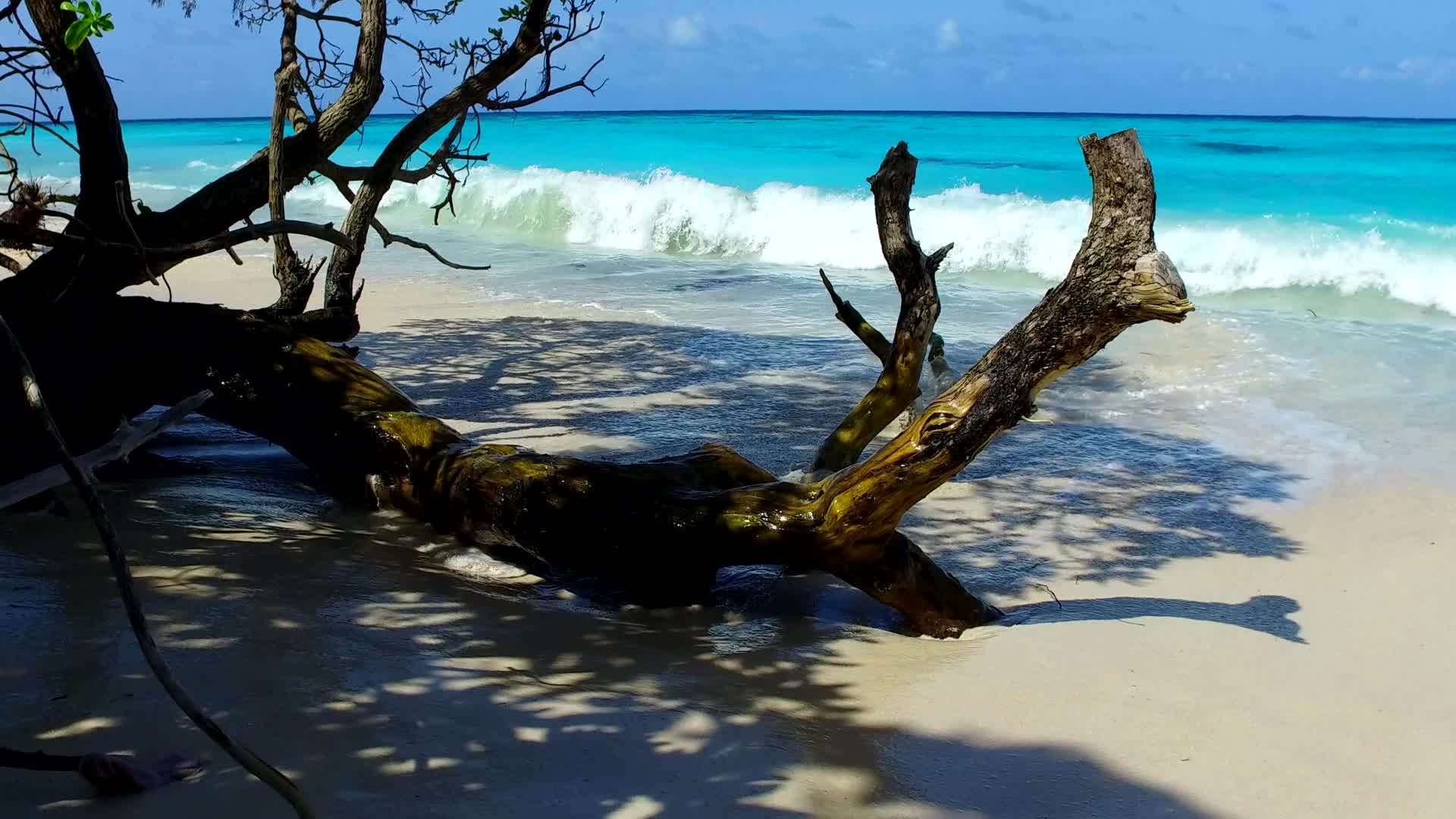 浅水热带海景海滩野生动物度假村附近有干净的沙质背景视频的预览图