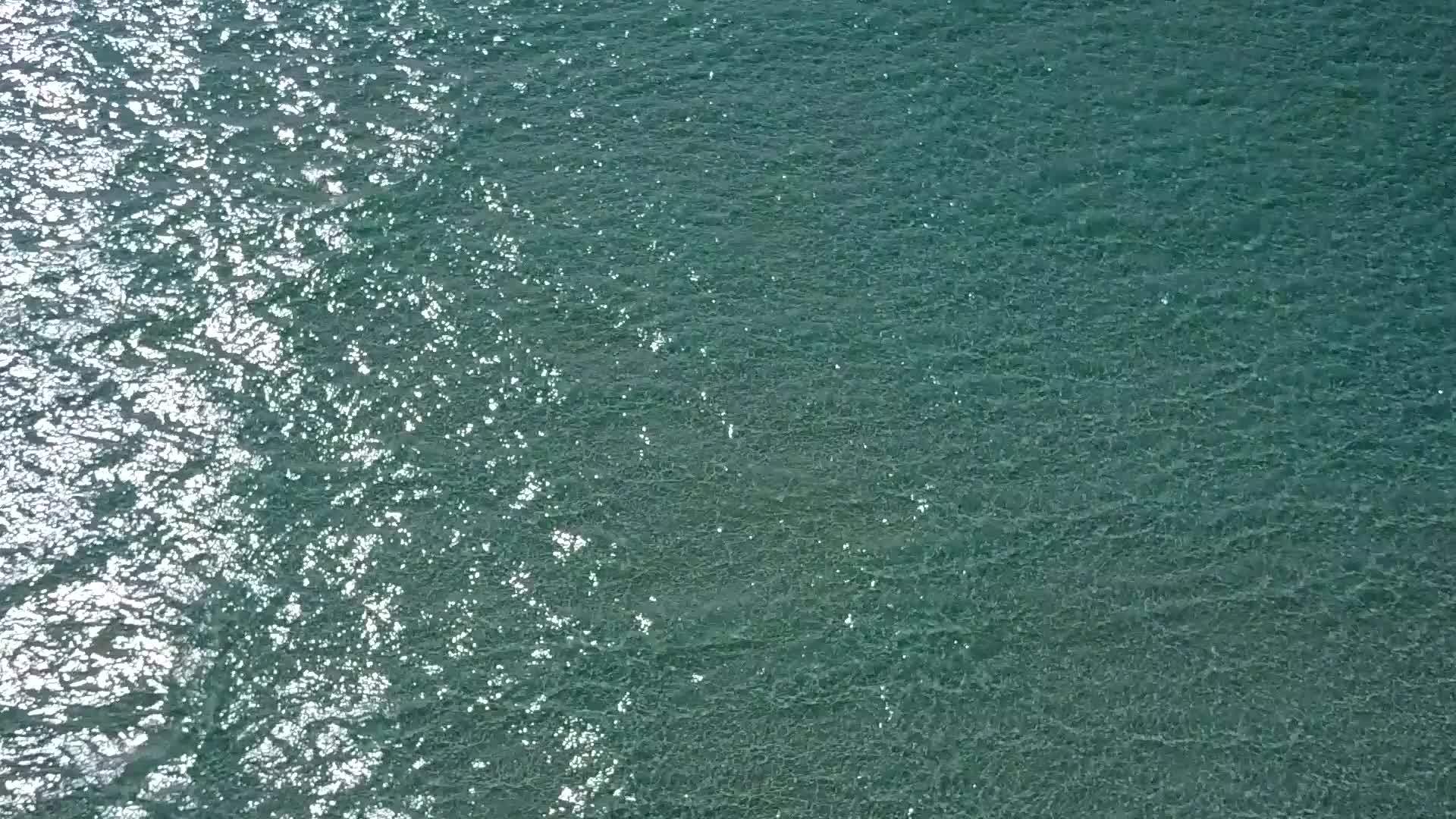 白沙背景下的绿松石水在冲浪附近完美度假海滩上航行视频的预览图