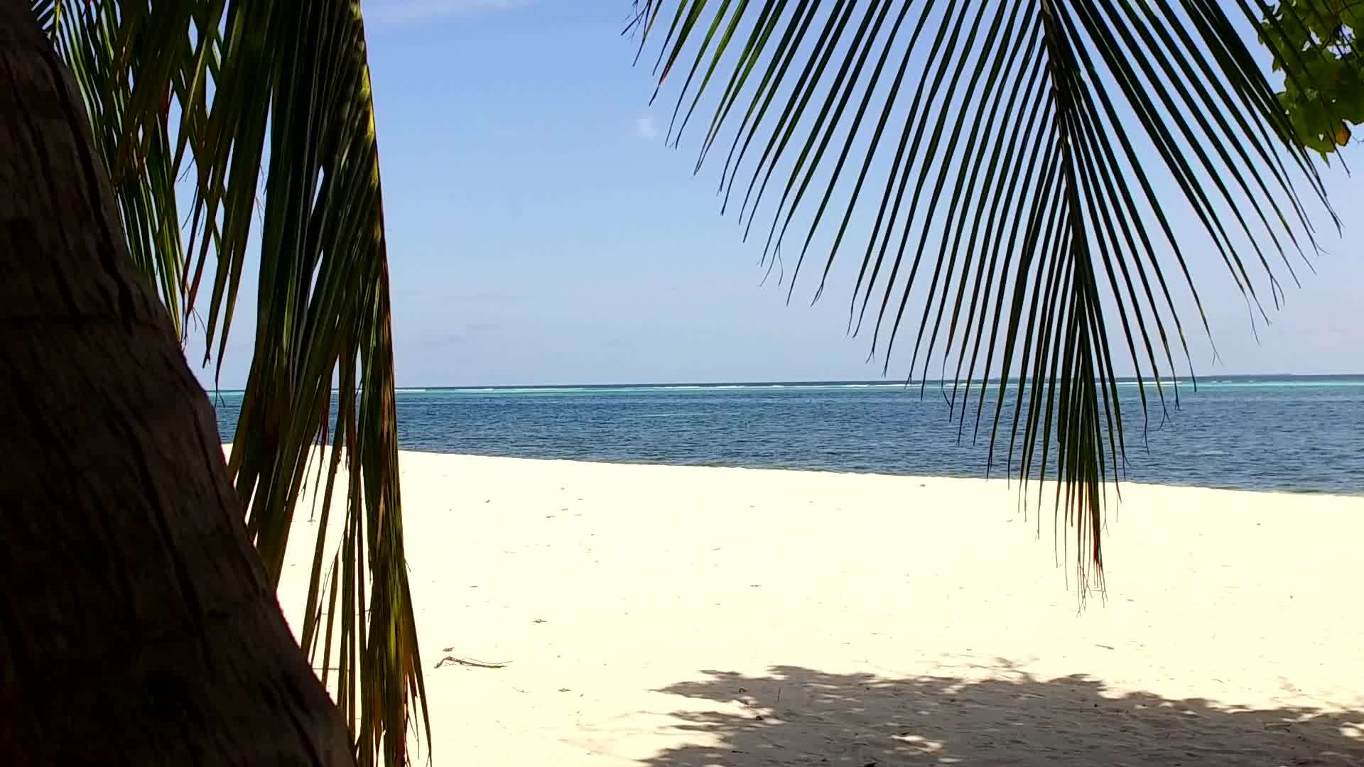 日出后白色沙滩背景的松绿水在海滩旅行中完美旅行视频的预览图