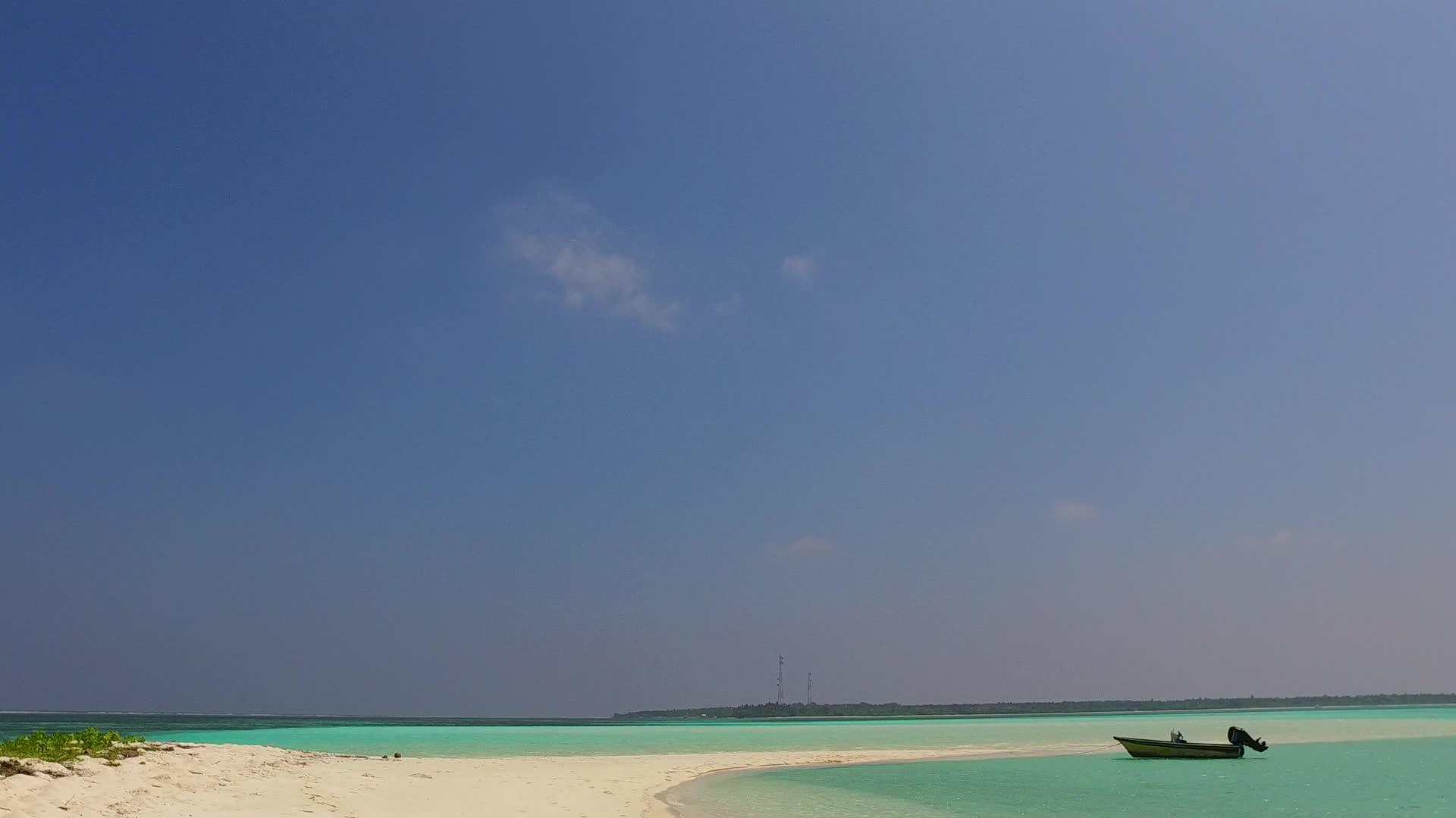 浅海和棕榈树附近清洁的海滩背景阳光明媚的海面轻松观光视频的预览图
