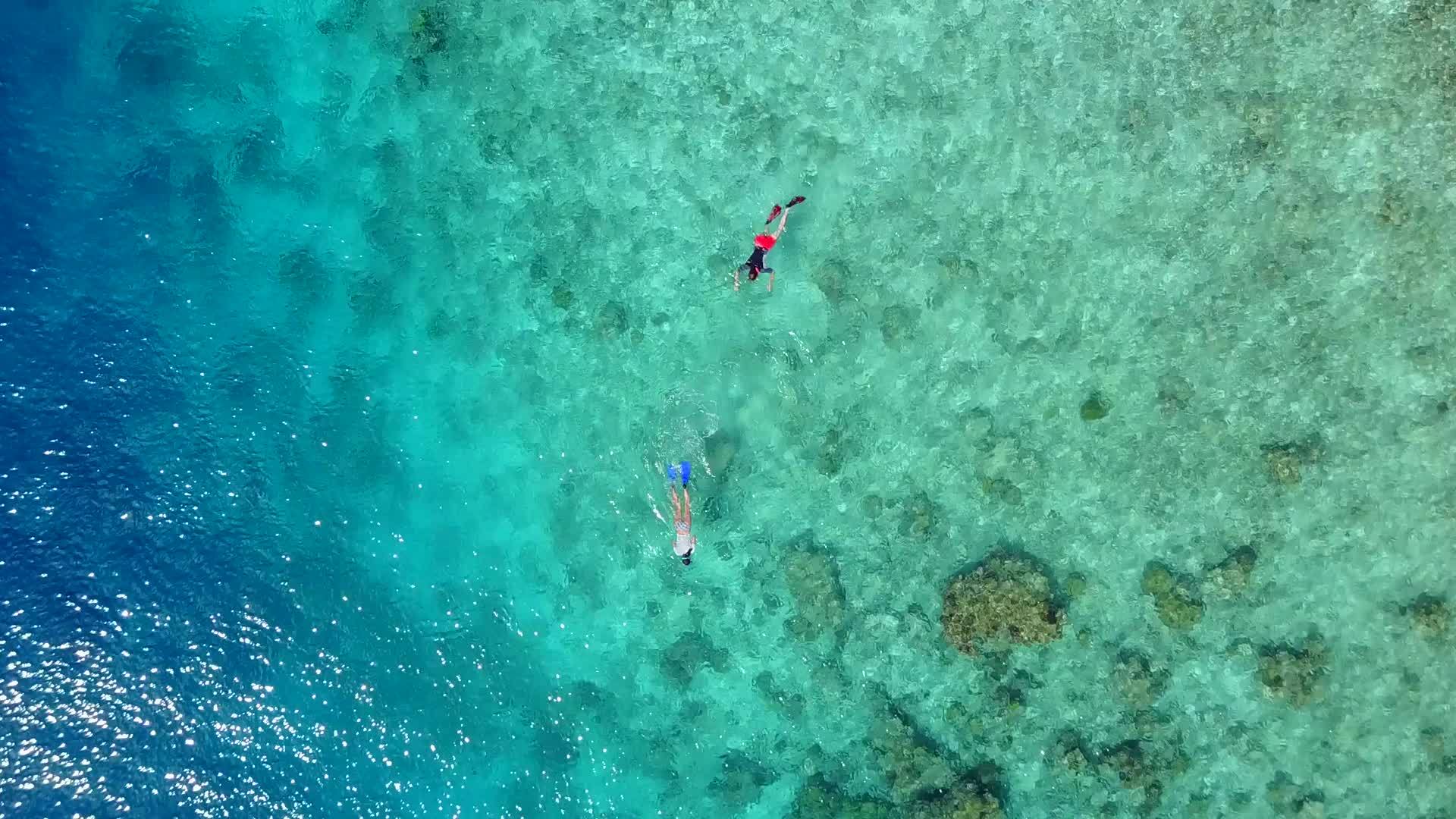 夏季旅游通过蓝海沿着棕榈树附近的白色沙底背景航行视频的预览图