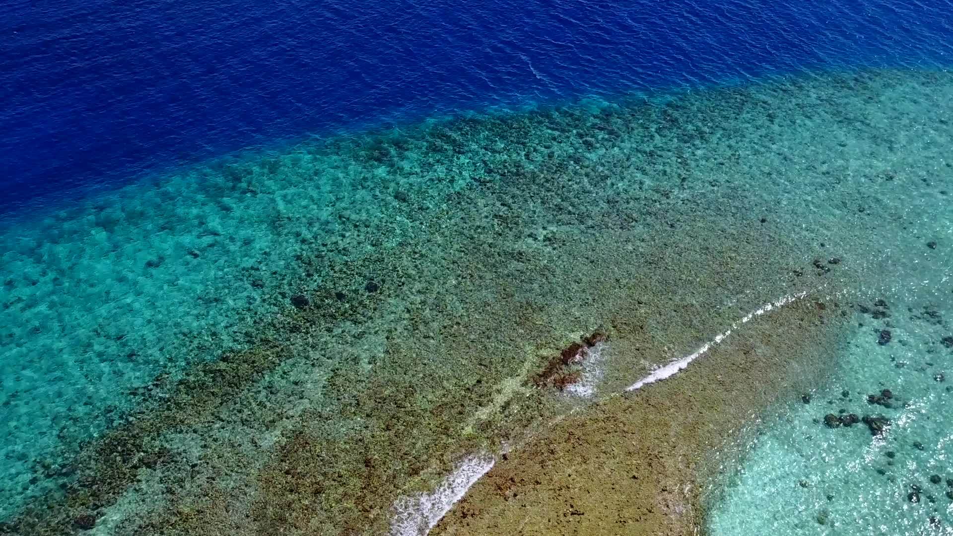 在棕榈树附近的蓝海和白沙的背景下在环礁湖的海滩上度假视频的预览图