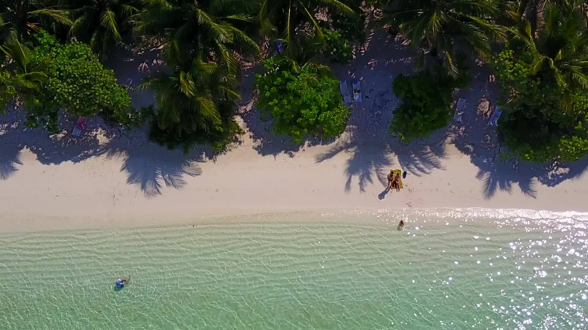 热带海岸海滩探绿海和白色沙滩视频的预览图