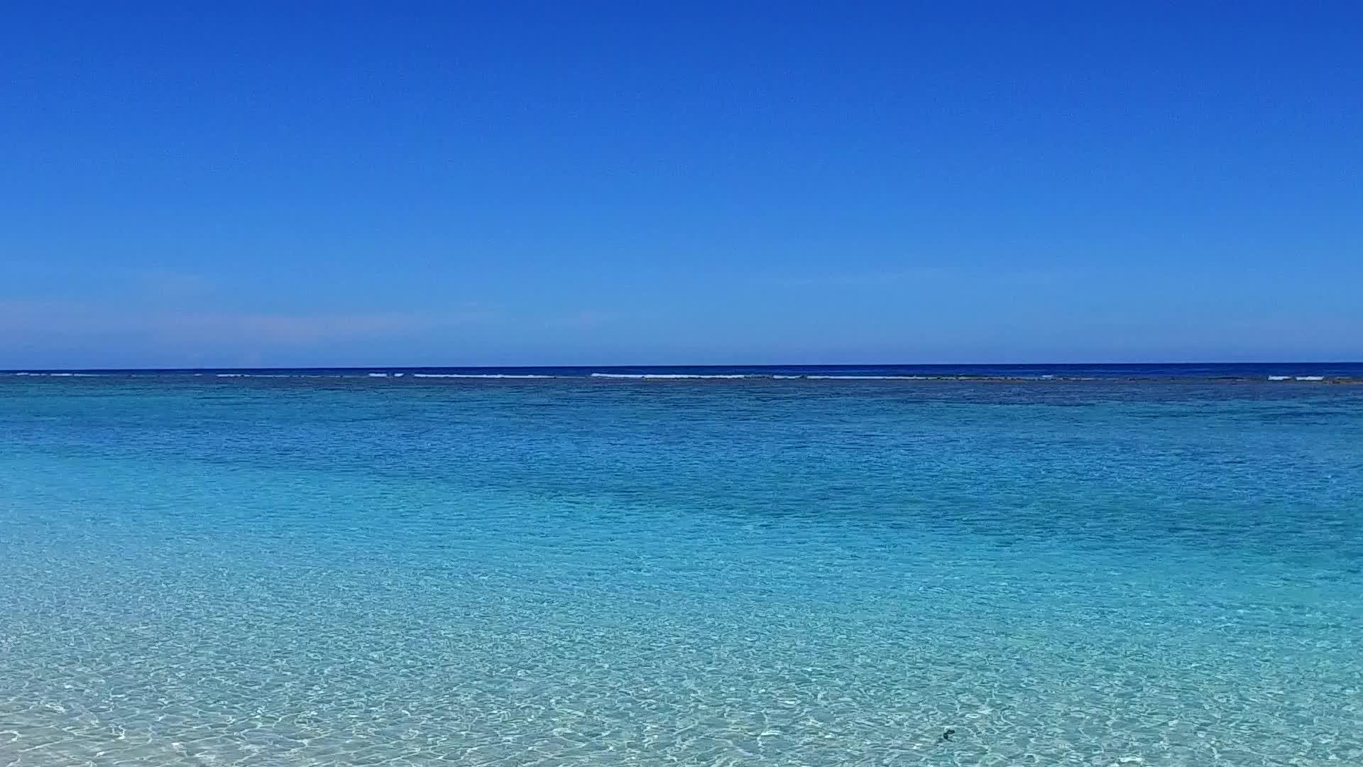热带泻湖海滩野生动物复制了白沙背景的透明海洋 靠近冲浪的白沙视频的预览图