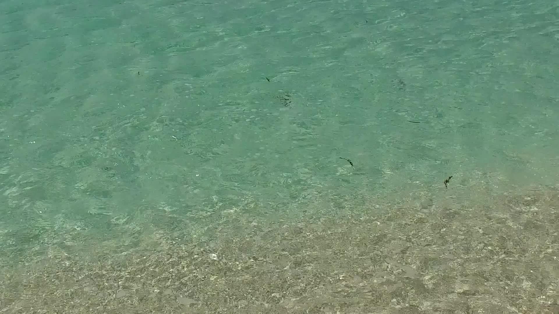 美丽的岛屿海滩度假日清澈的大海和沙洲附近的白色视频的预览图