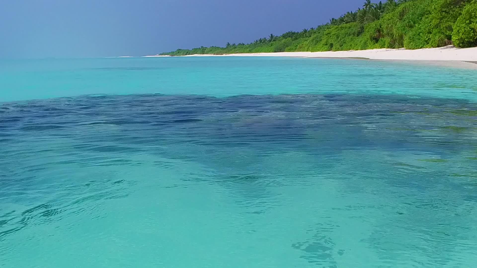 在浅环礁湖和棕榈树附近的白沙为背景打破了宁静的岛屿海滩间歇视频的预览图