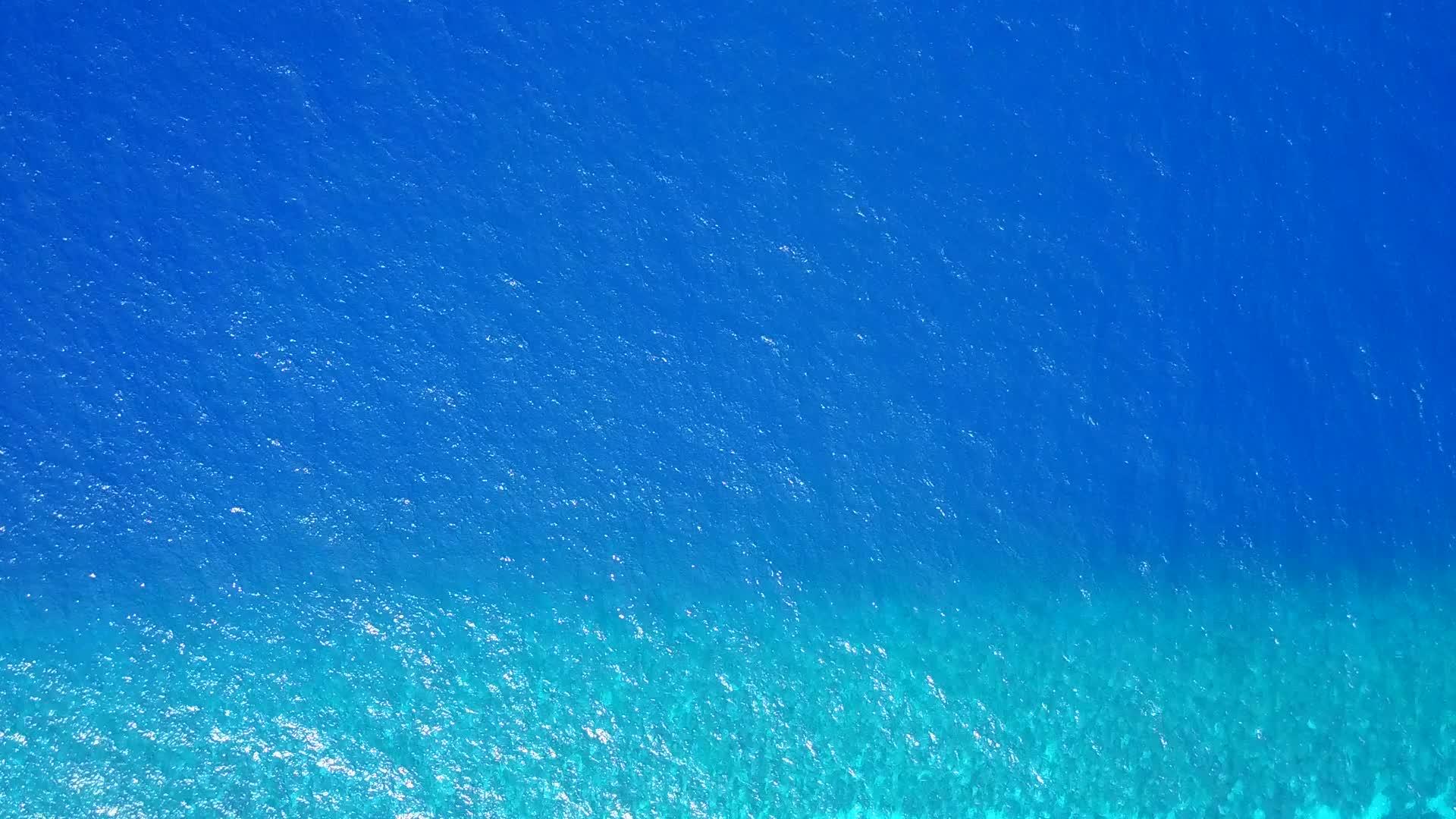 蓝海豪华海滩野生动物广角海景日落前明亮的沙色背景视频的预览图