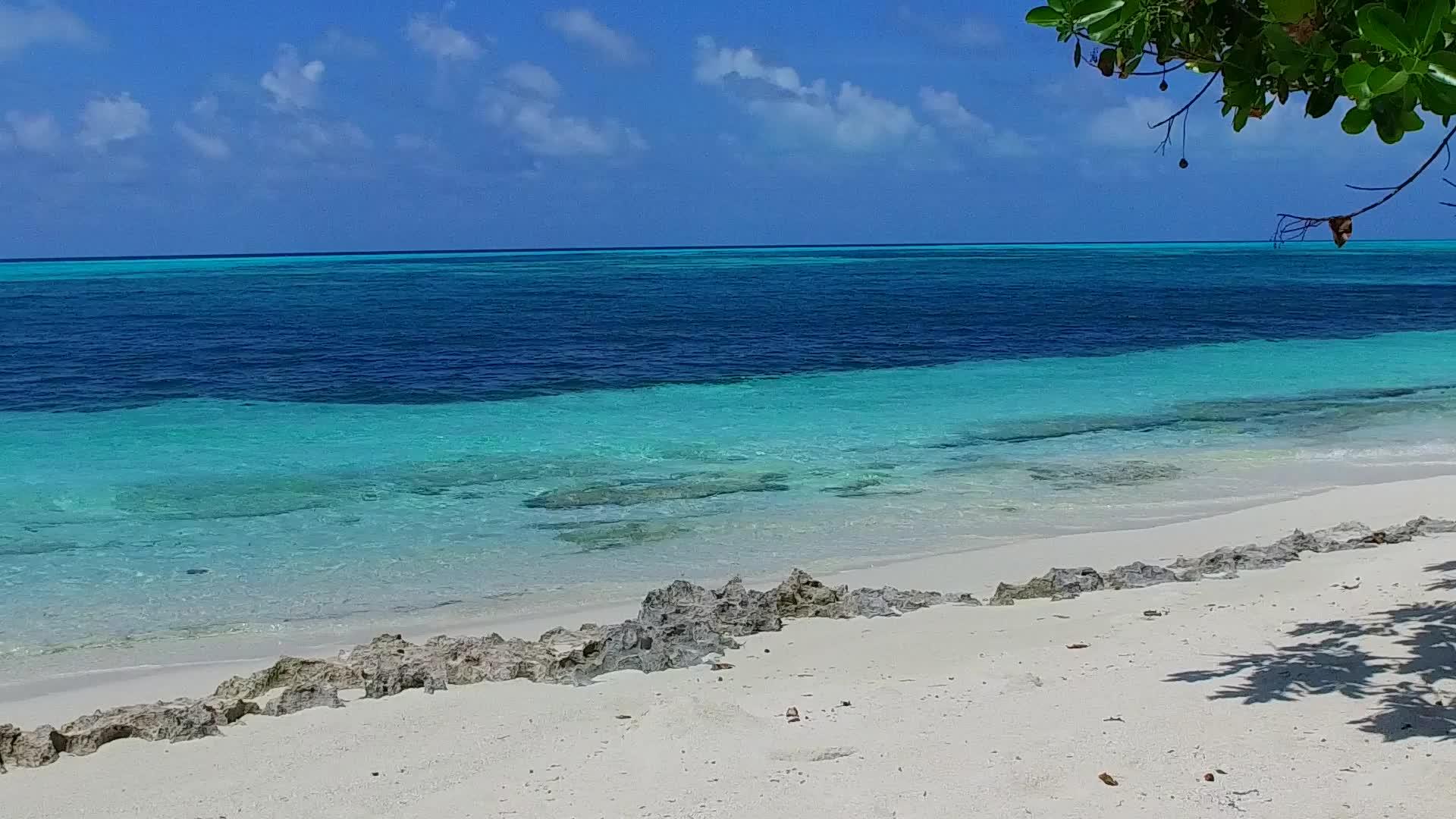热带岛屿海滩空旅行时间海平面靠近白沙的蓝海棕榈视频的预览图