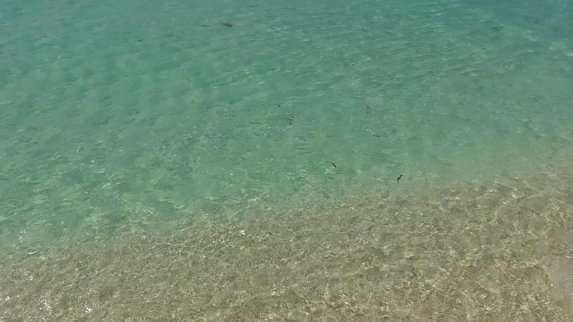 日出后干净的沙质背景透明的海洋外国泻湖海滩之旅视频的预览图