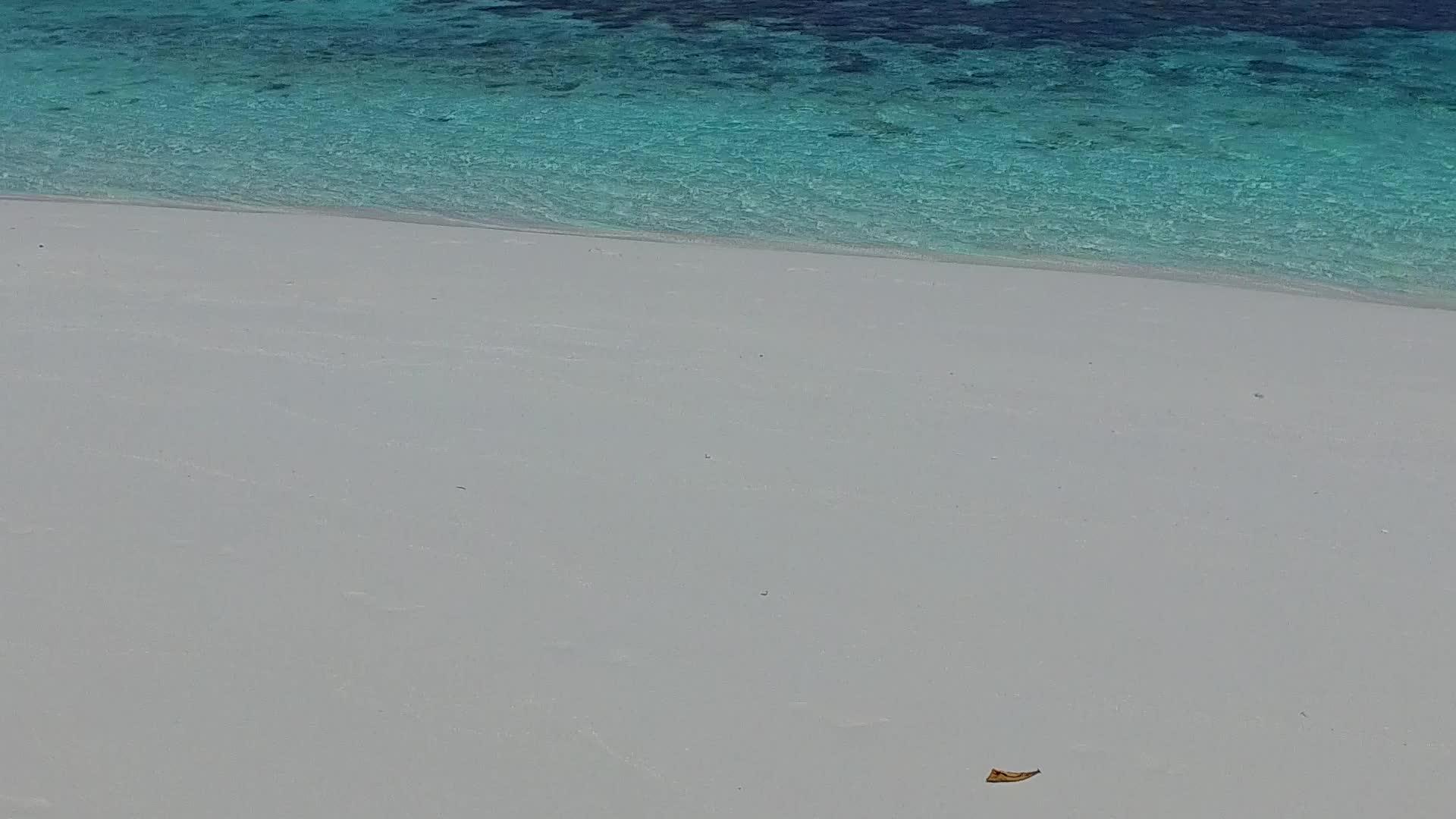 安静的岛屿海滩野生生物被用于浅海和棕榈树附近的白沙底部视频的预览图