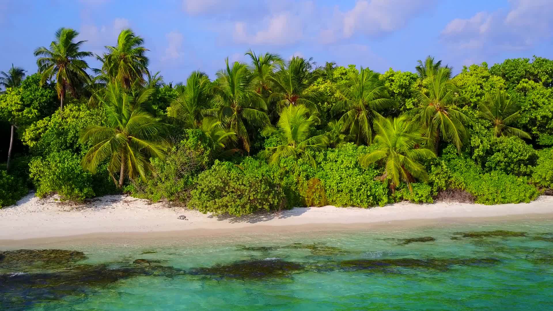 蓝色的水和白色的沙子在棕榈树附近的背景是豪华的海岸线海滩生活方式视频的预览图
