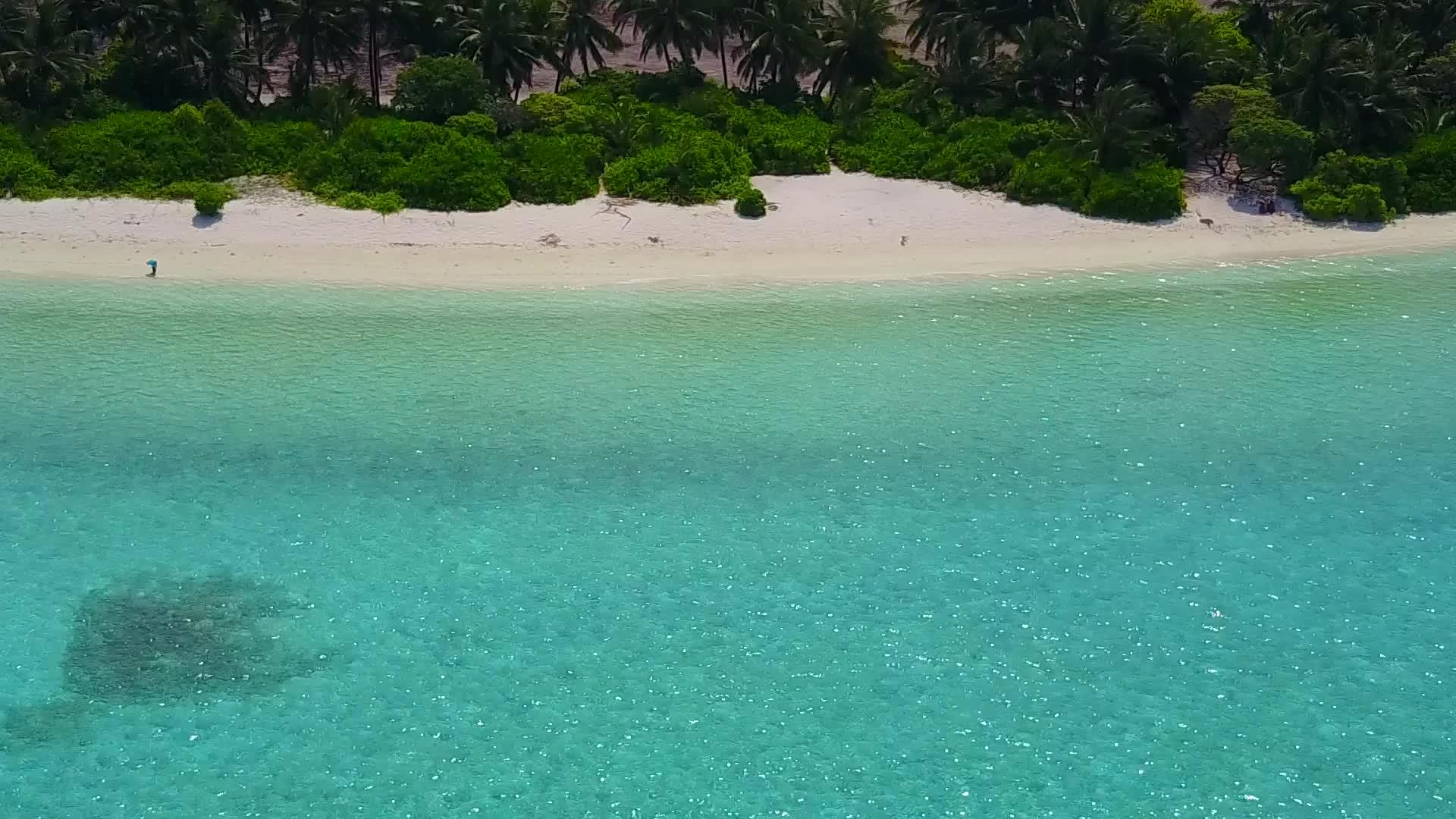 阳光明媚的豪华海洋观光图显示了阳光下白色沙子背景下的蓝水视频的预览图