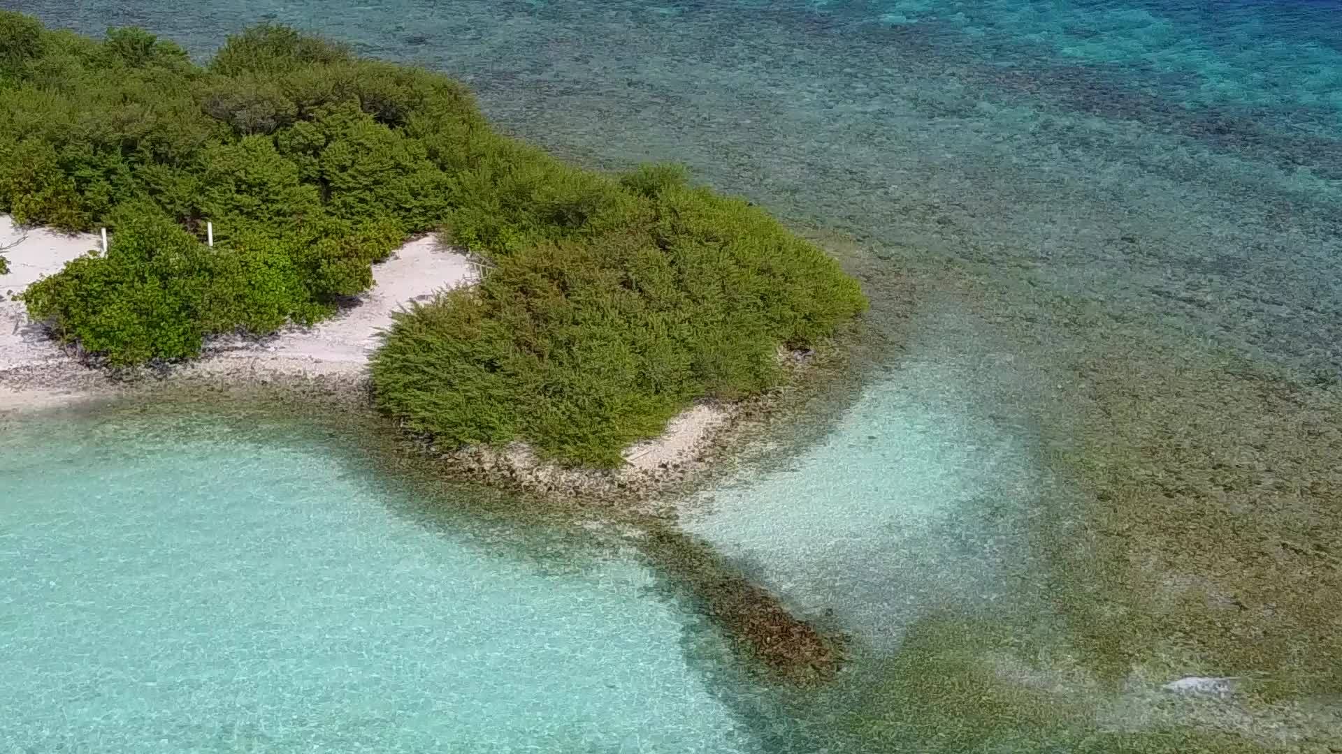 热带岛屿海滩生活方式的阳光抽象摘要视频的预览图