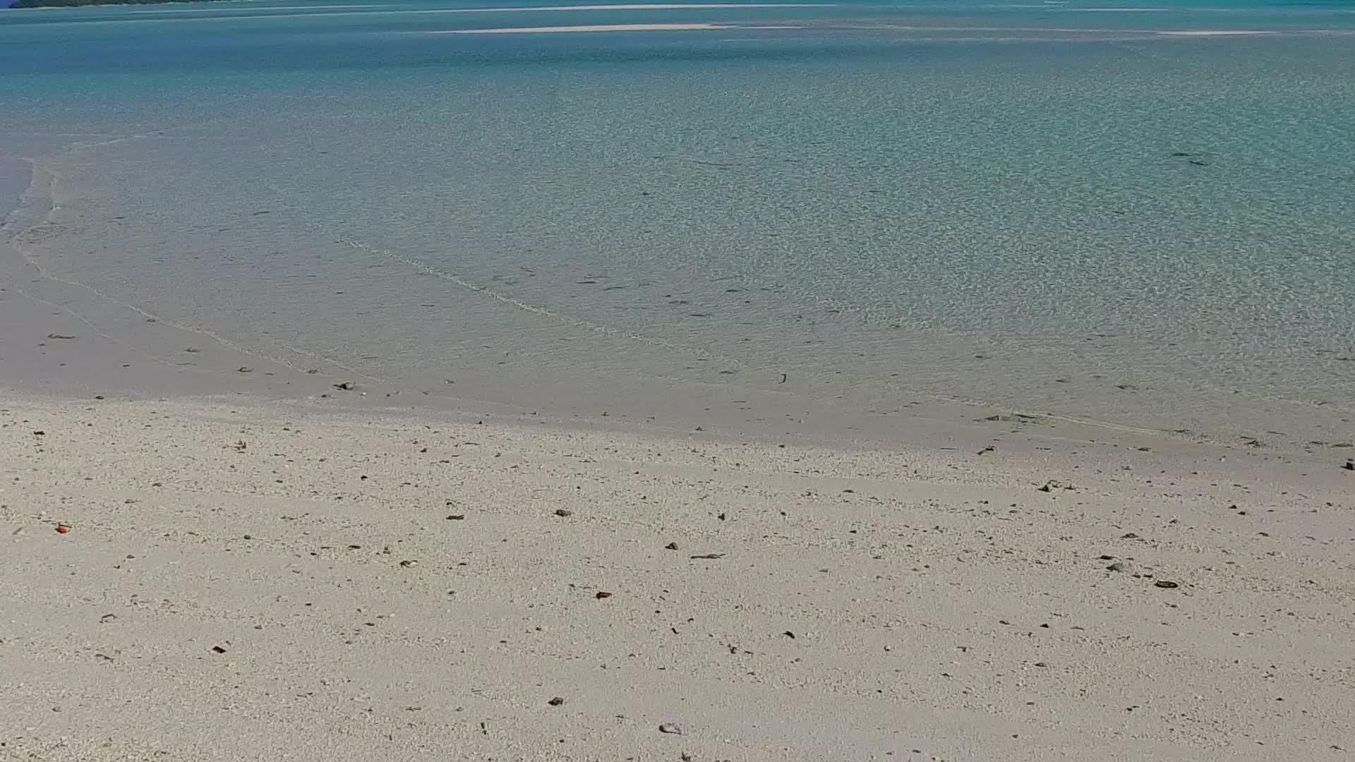 美丽的海岸线海滩野生动物的日间海景由蓝色的水和靠近视频的预览图