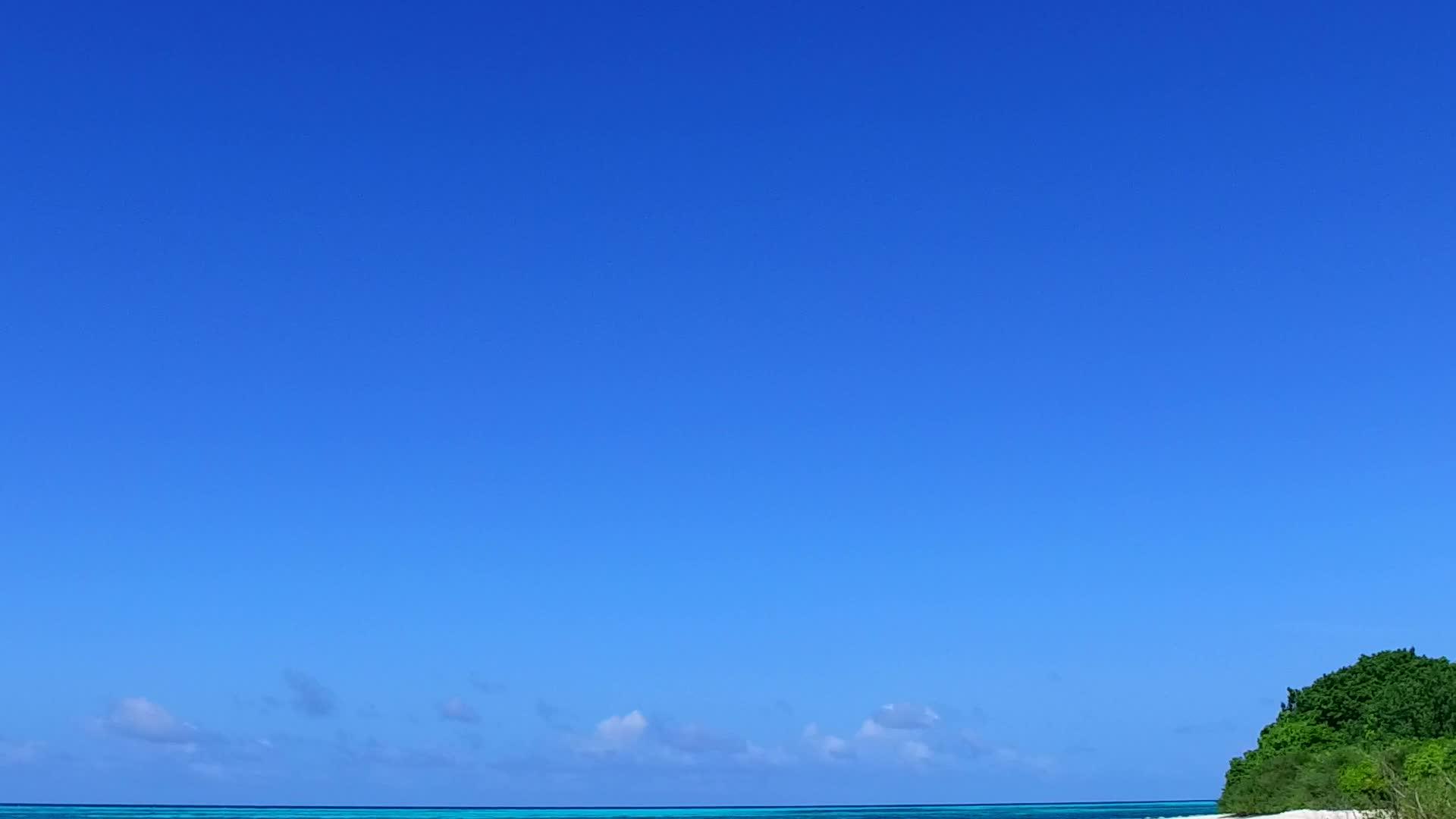 海洋环礁湖海滩在棕榈树附近的白沙底蓝绿水中航行视频的预览图