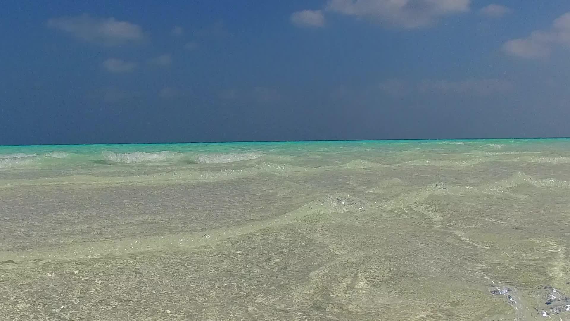 天堂海滩时间阳光海景透明的大海和棕榈树附近的白色海洋视频的预览图