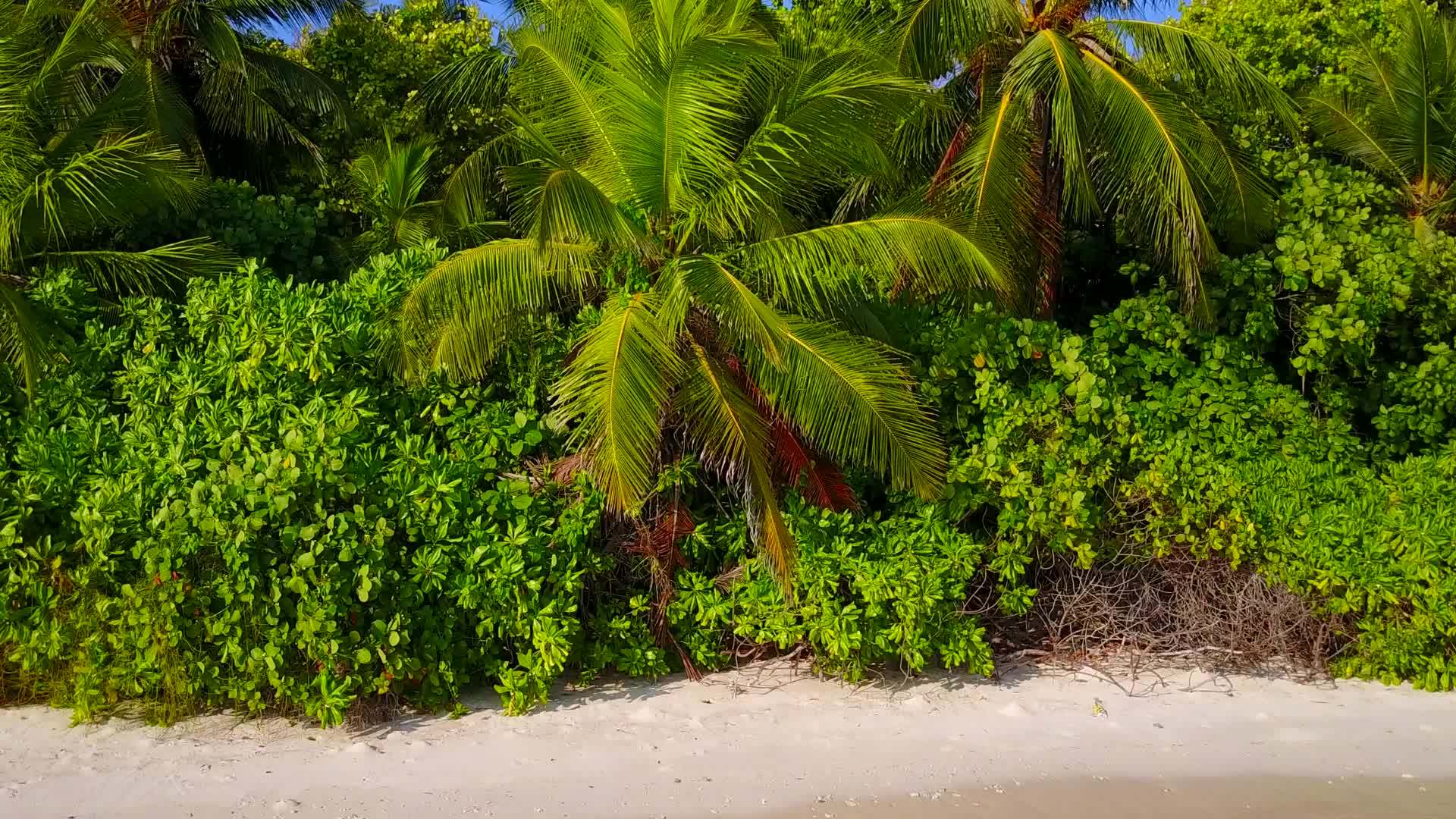 靠近白沙背景的绿松石环礁湖附近的度假胜地Turquiois视频的预览图