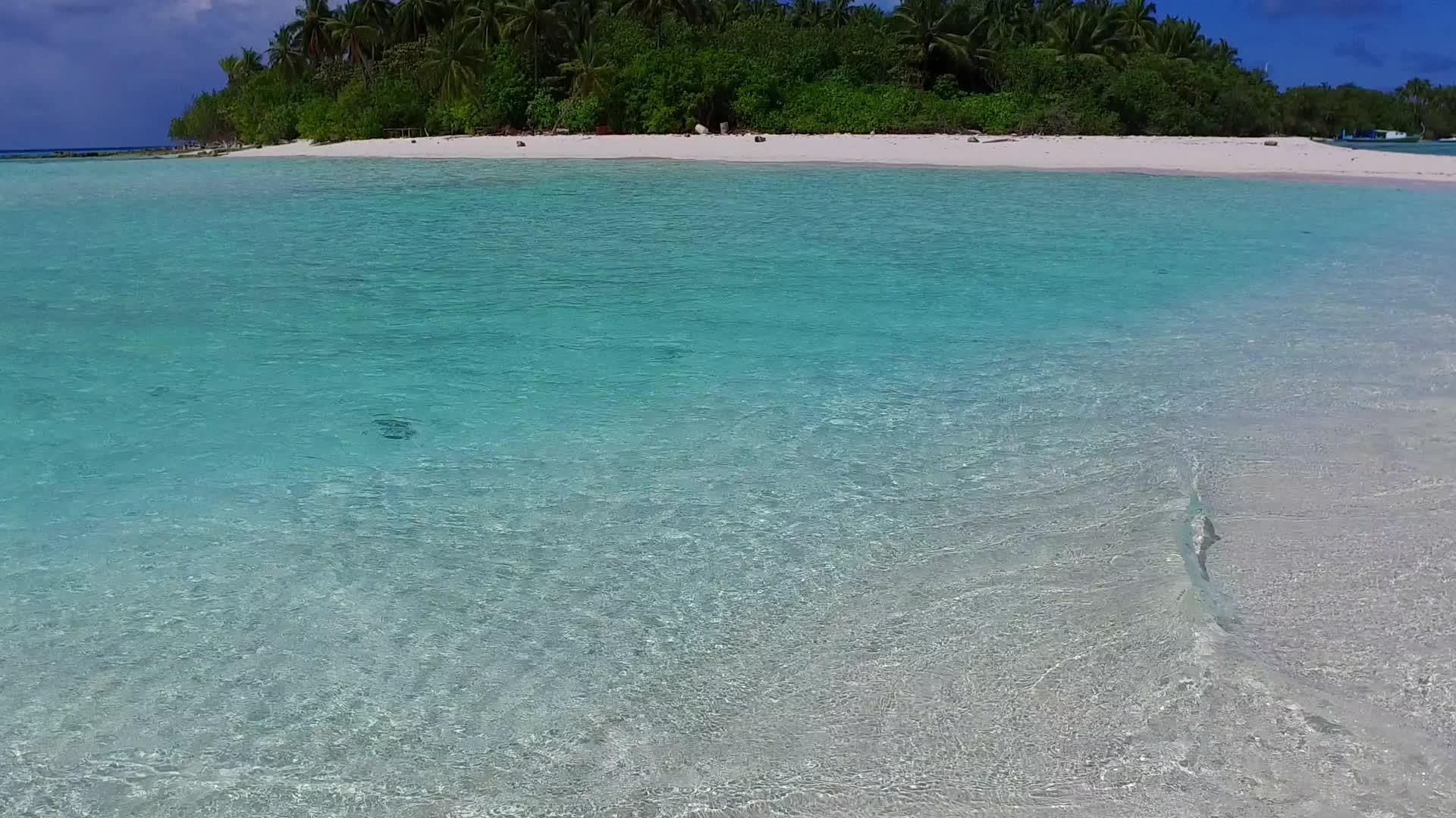 阳光明媚的豪华海滩生活方式由棕榈树附近的白色组成视频的预览图