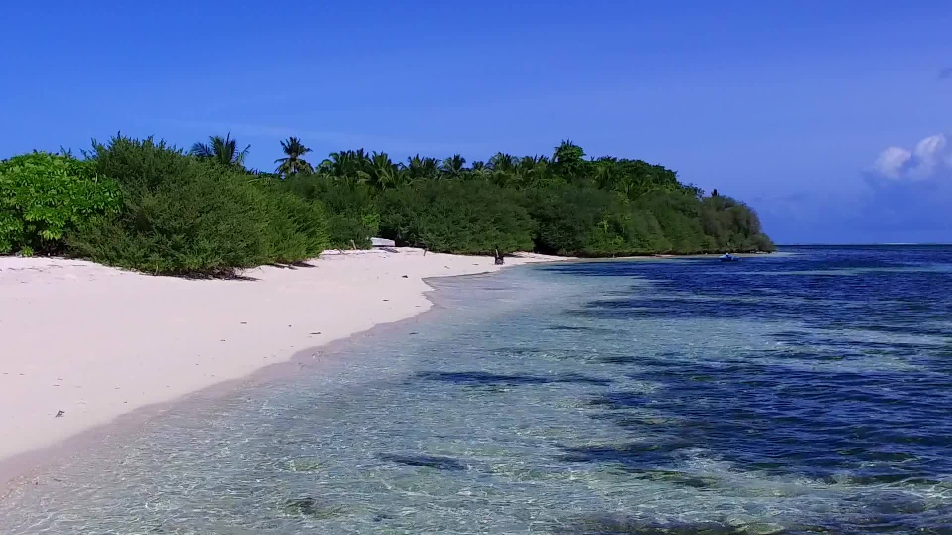 海洋环礁湖海滩旅游蓝海旅游珊瑚礁附近有白色沙子背景视频的预览图