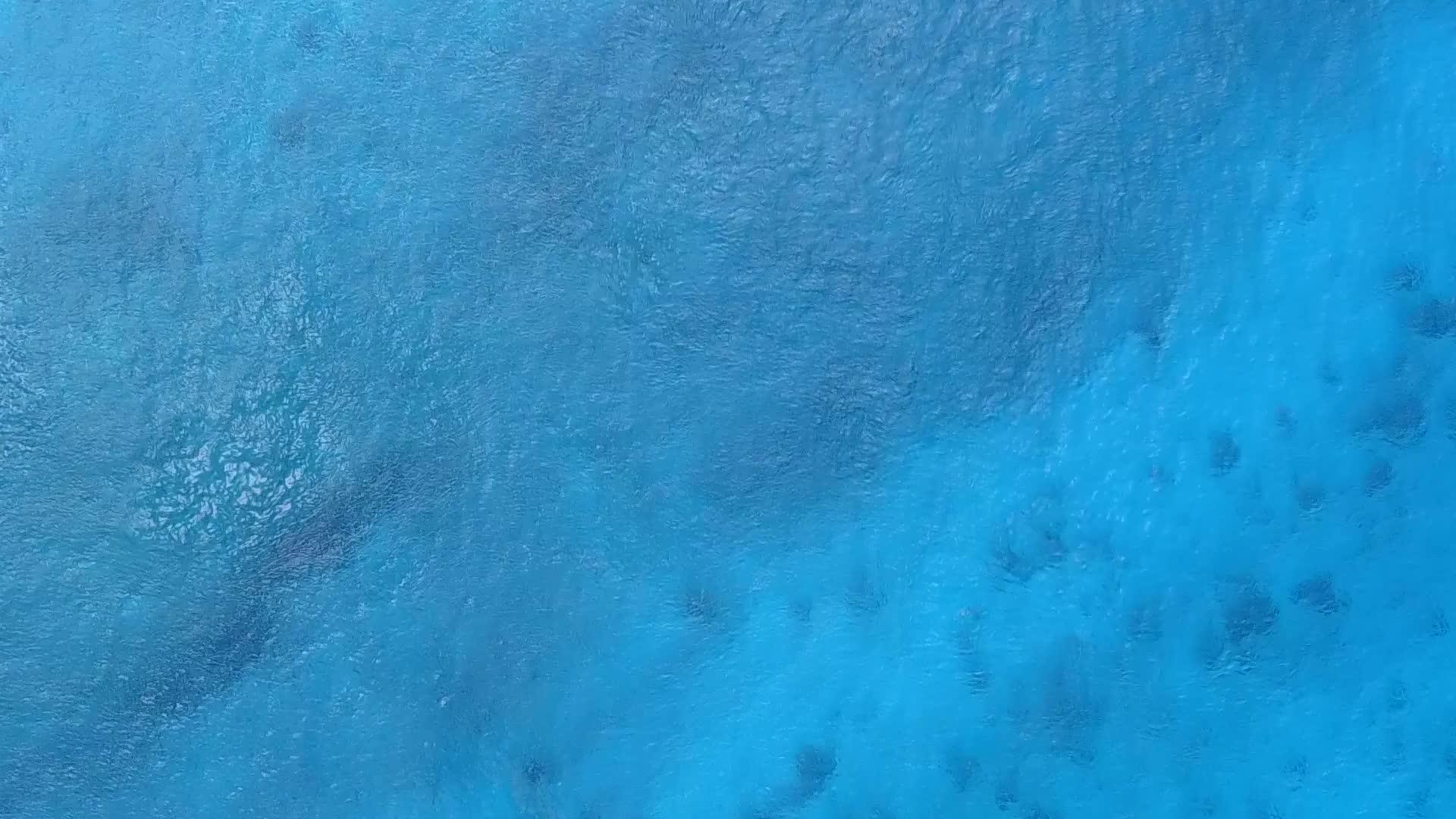 利用蓝海和珊瑚礁附近的白色沙沙背景完善海岸海滩视频的预览图