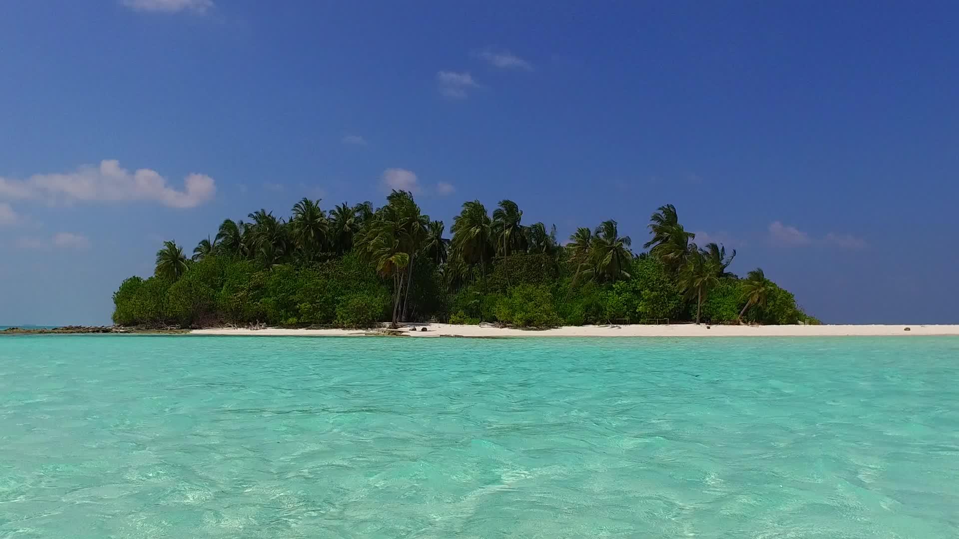 在蓝色的海洋中在珊瑚礁附近有一个干净的海滩背景视频的预览图