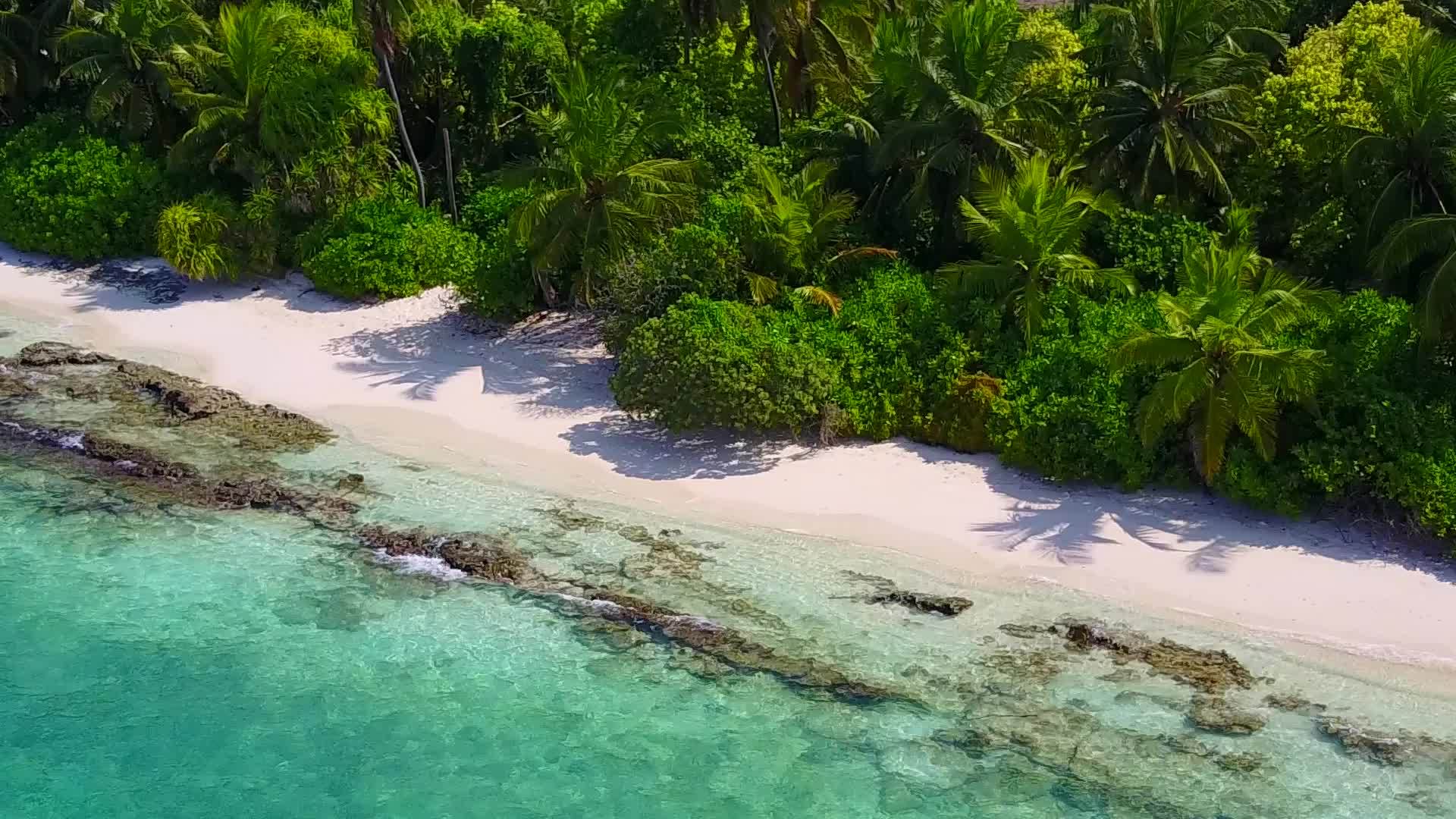 阳光明媚的热带海岸线景观是在阳光下用蓝水和白沙进行的视频的预览图