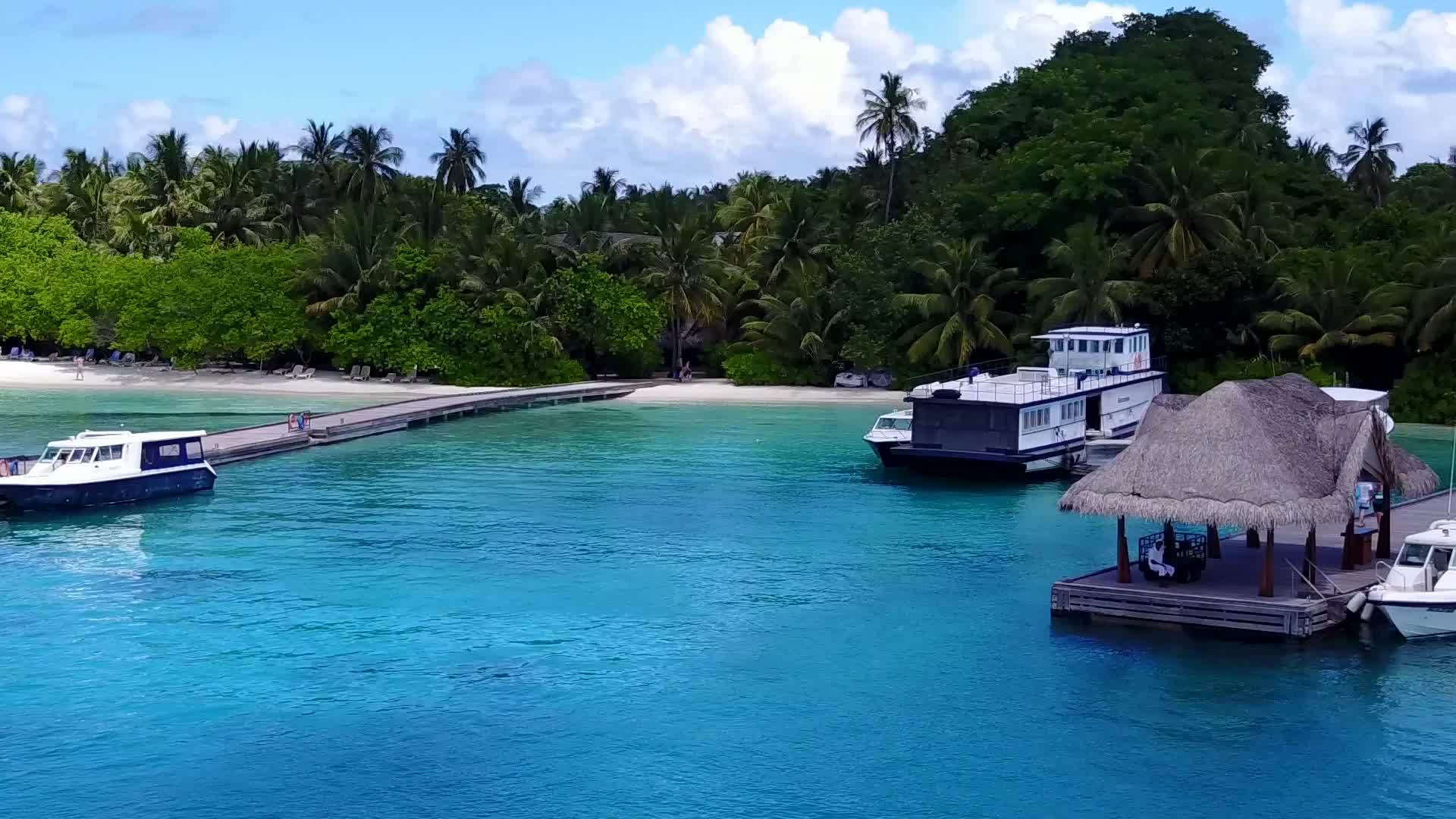 在珊瑚礁附近的蓝水礁湖和白沙海洋探险的背景下近距离观察视频的预览图